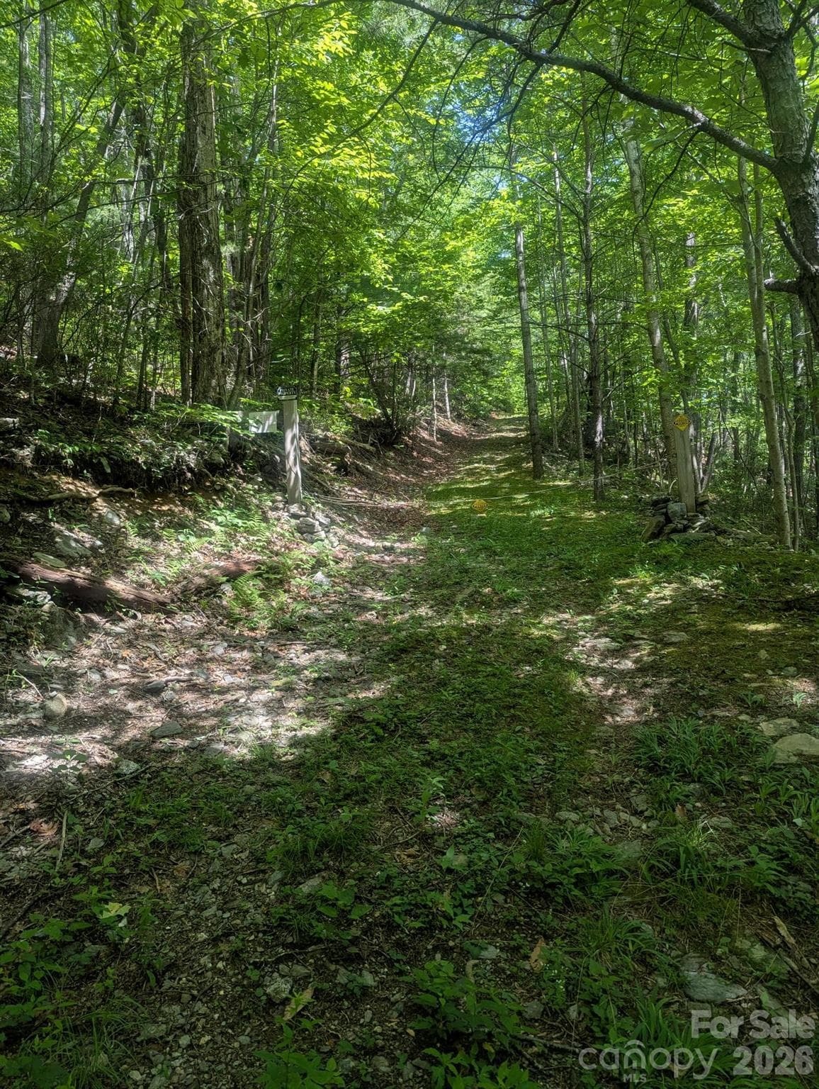 Acreage at Lenoir, photo 2 of 28