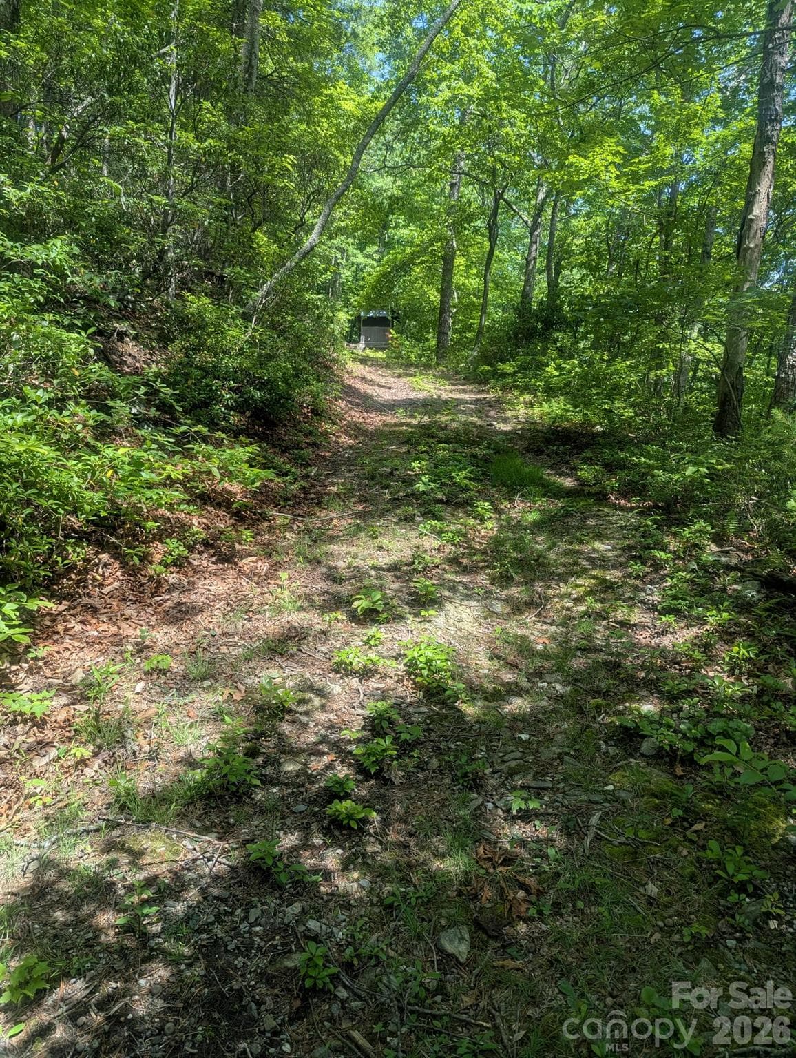 Acreage at Lenoir, photo 3 of 28