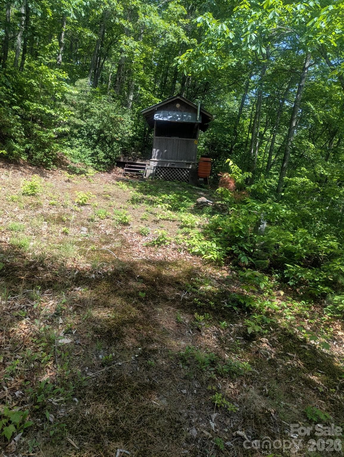 Acreage at Lenoir, photo 6 of 28