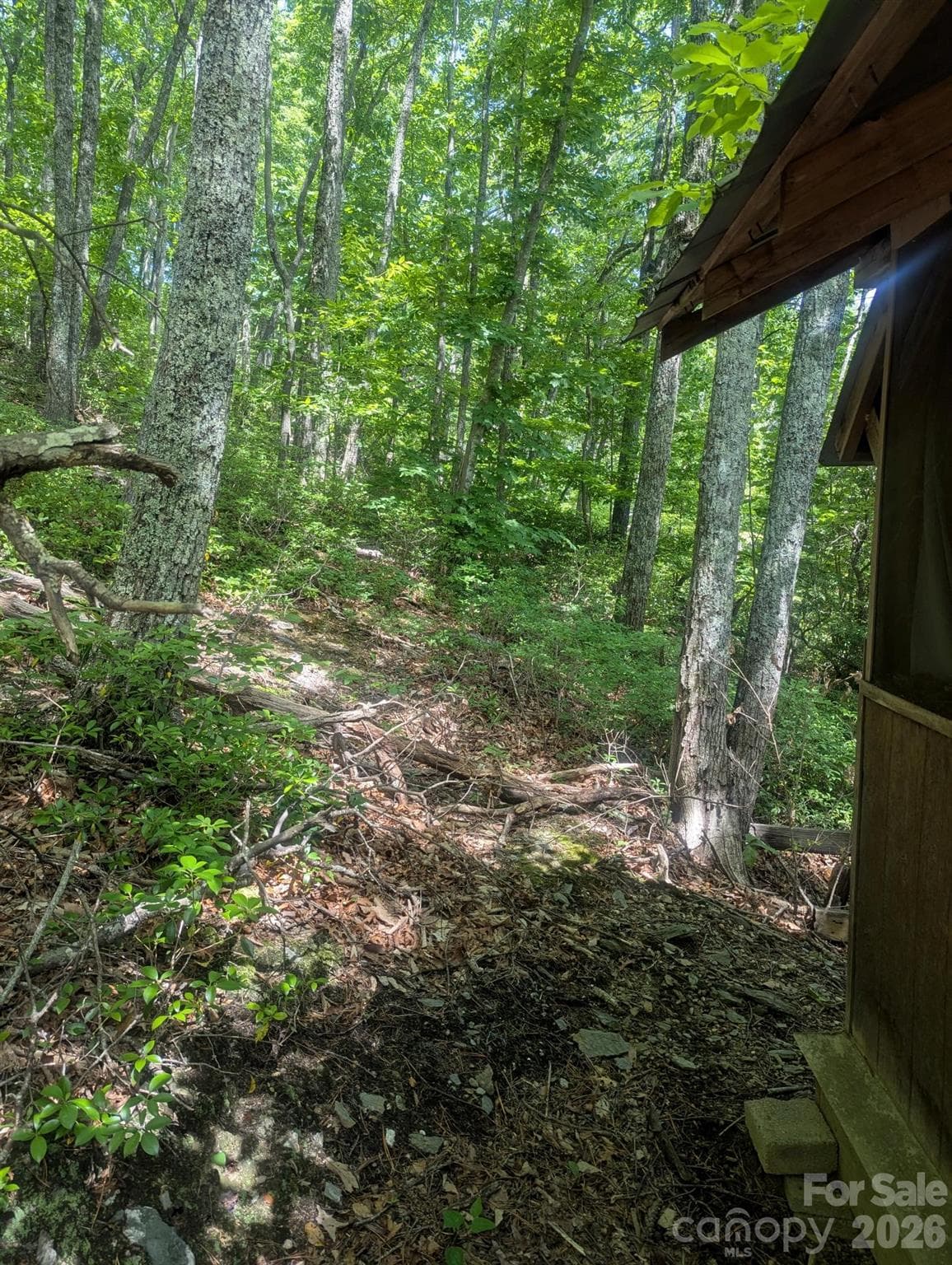 Acreage at Lenoir, photo 9 of 28