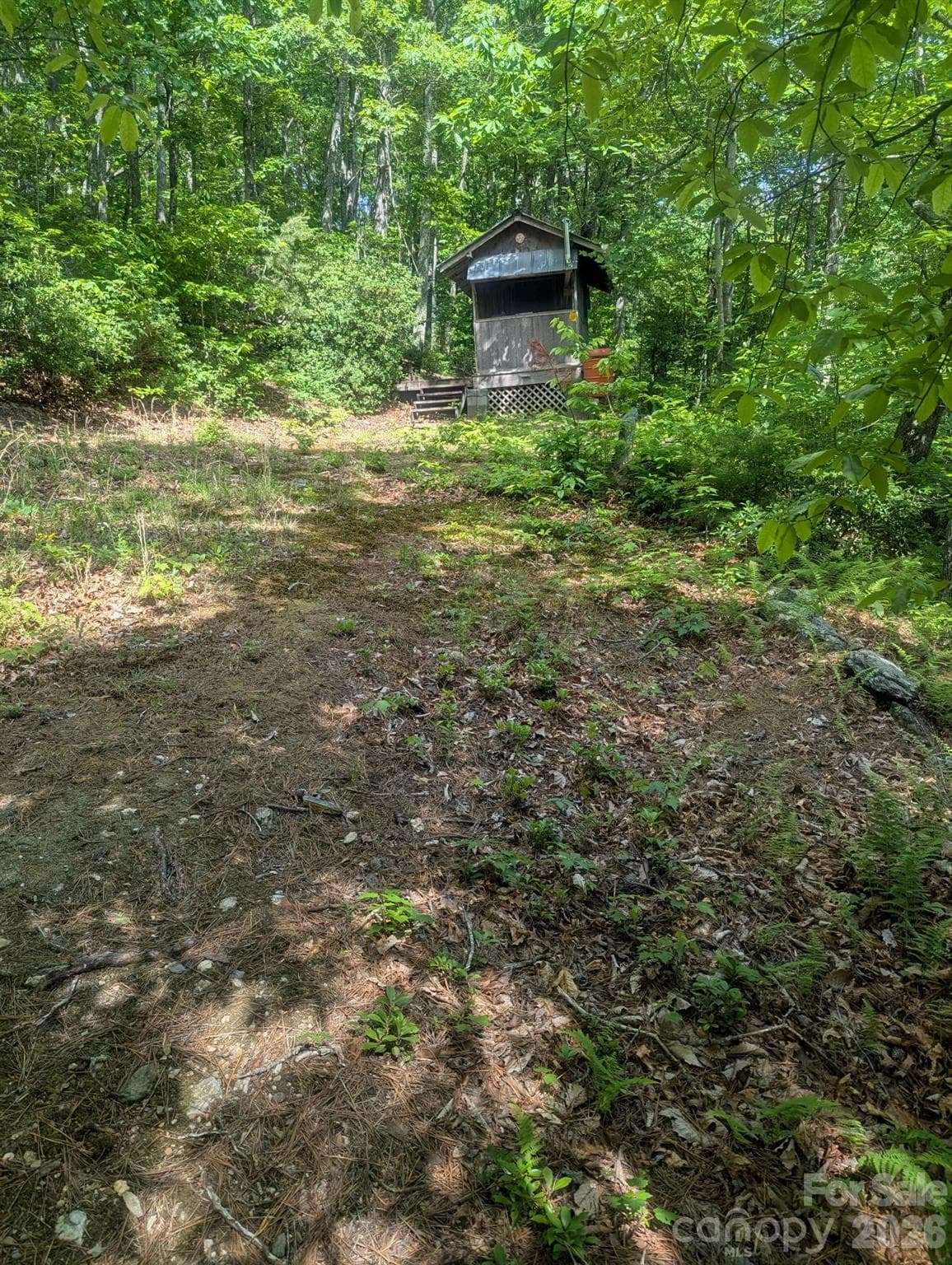 Acreage at Lenoir, photo 15 of 28