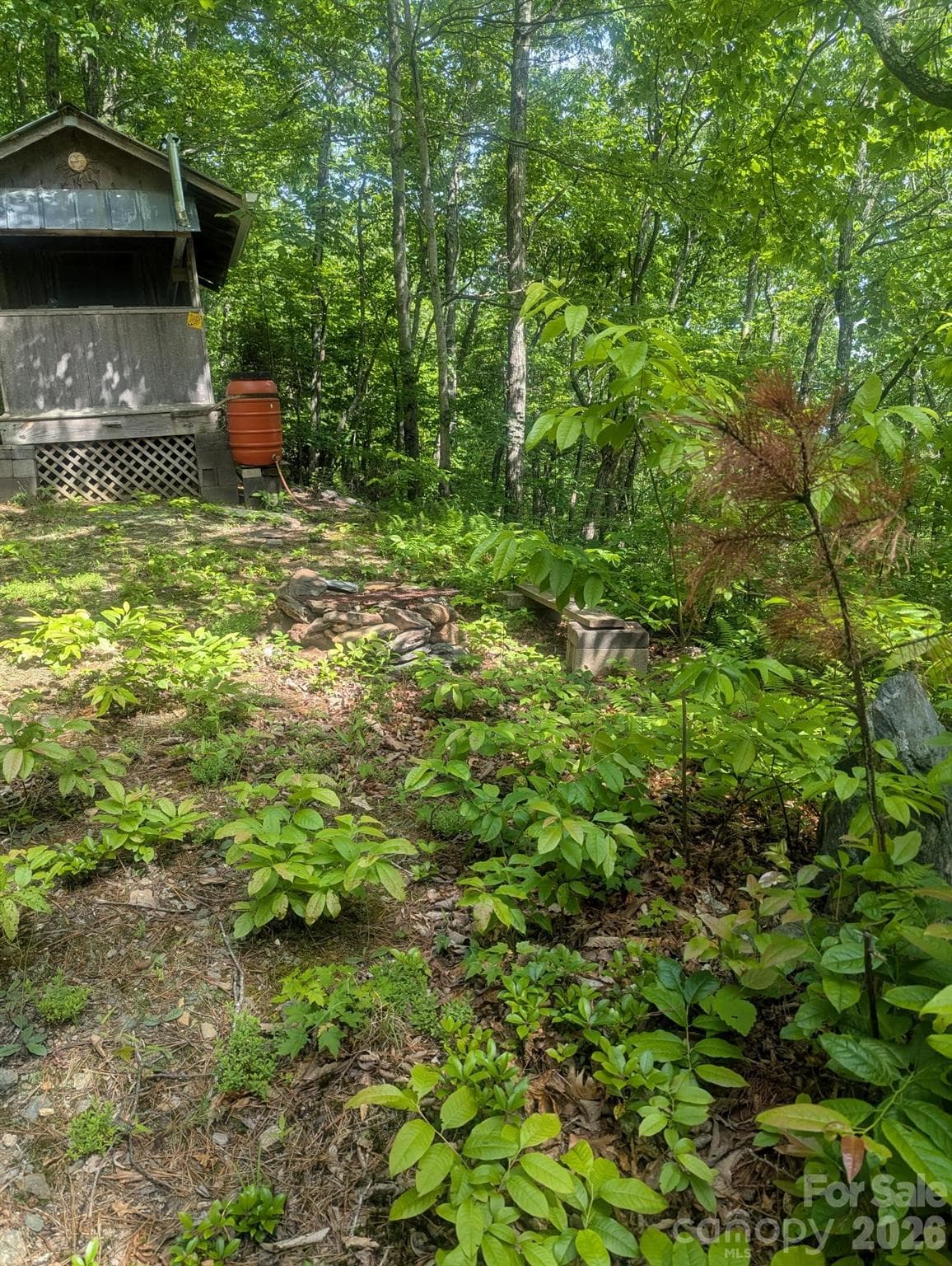 Acreage at Lenoir, photo 16 of 28