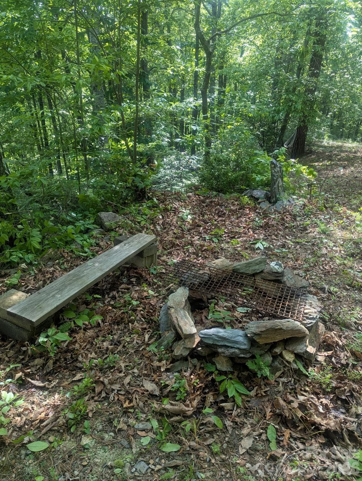 Acreage at Lenoir, photo 25 of 28