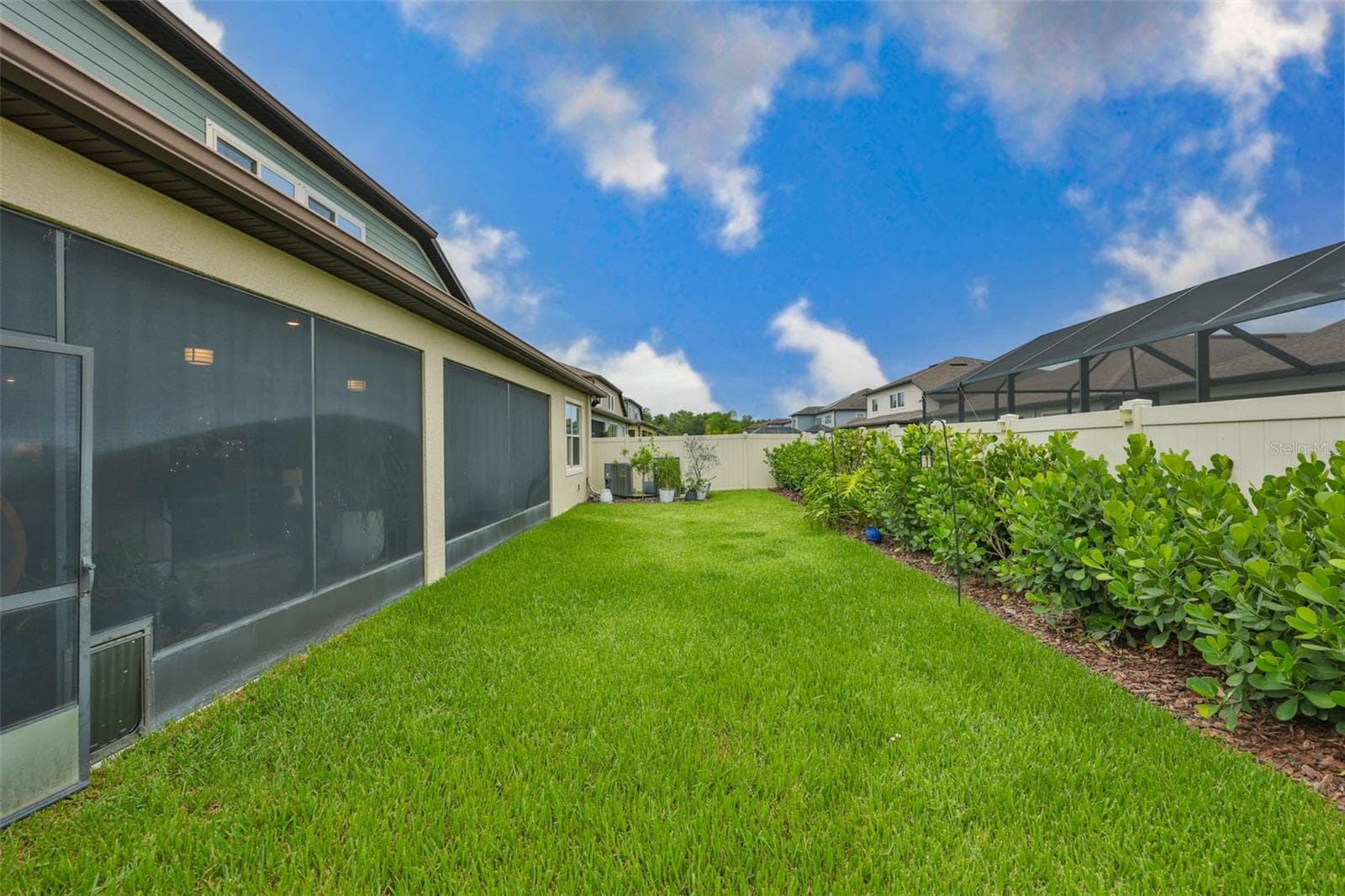 Back Yard - 18824 ALDER GLEN DR, LUTZ
