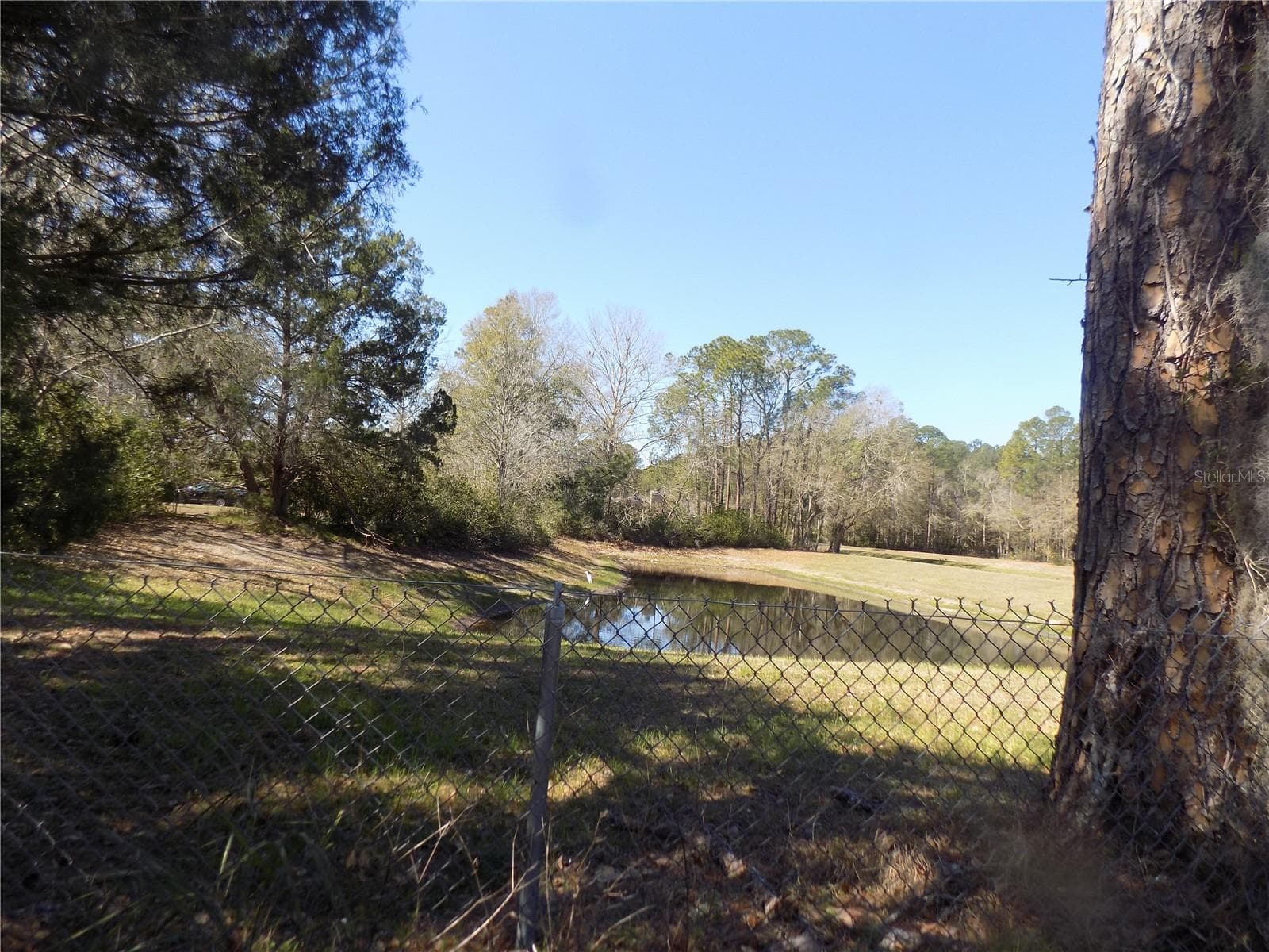 Retention pond behind house - 4408 NW 44 PL NW, GAINESVILLE