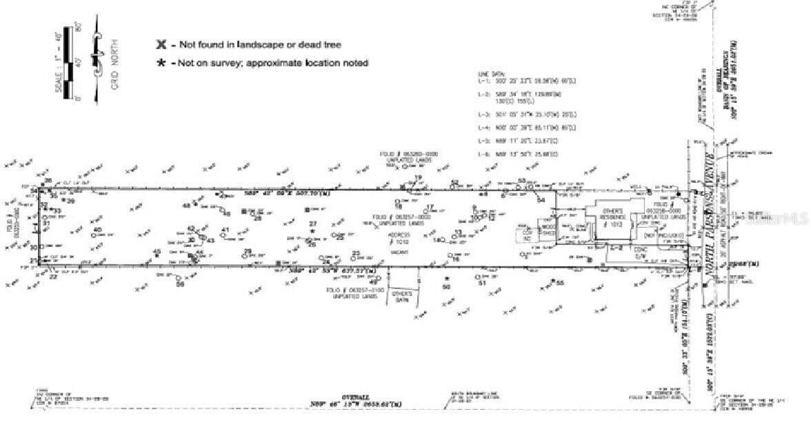 Land at 1010 N PARSONS AVE, SEFFNER, photo 2 of 2