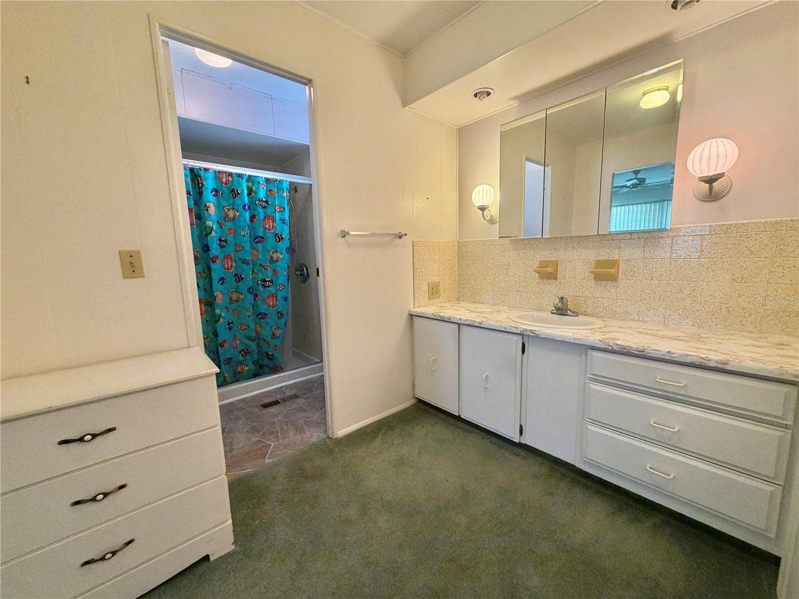 Mobile Home at 132 TAMARISK WAY, LEESBURG, photo 33 of 52