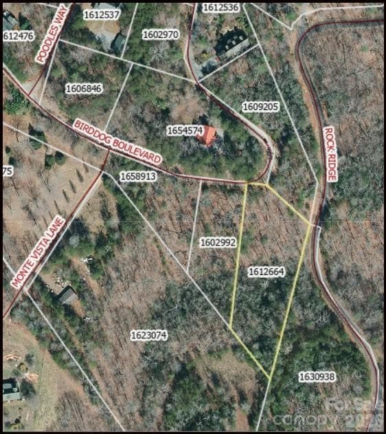 Aerial off GIS showings PIN #s - Lake Lure