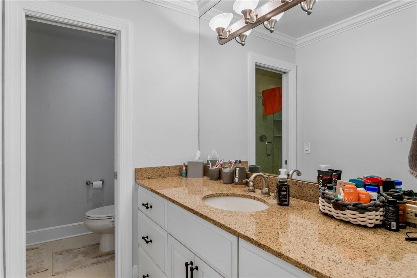 Single Family Residence at 16601 AVILA BLVD, TAMPA, photo 40 of 47