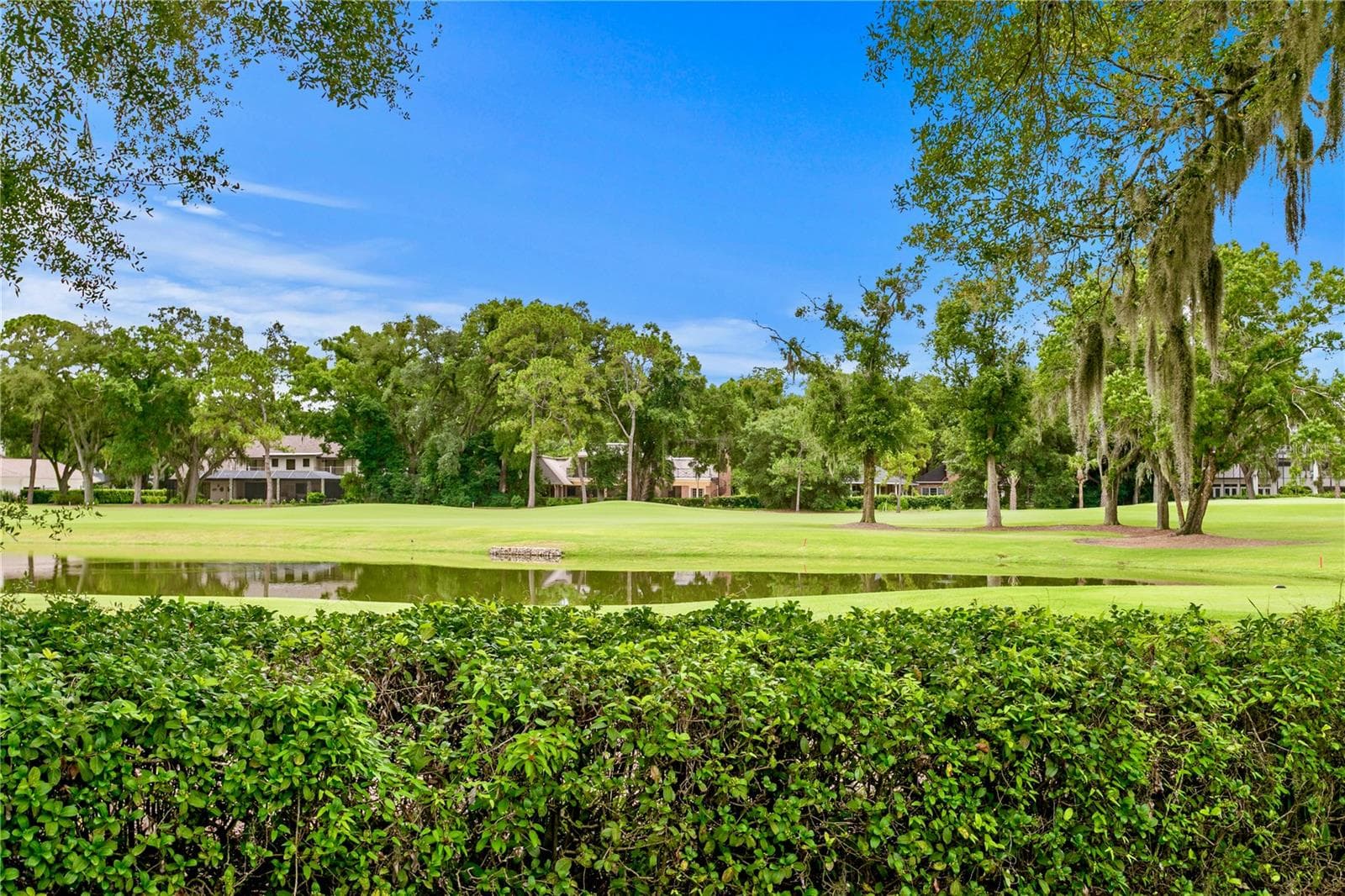 Single Family Residence at 16601 AVILA BLVD, TAMPA, photo 43 of 47