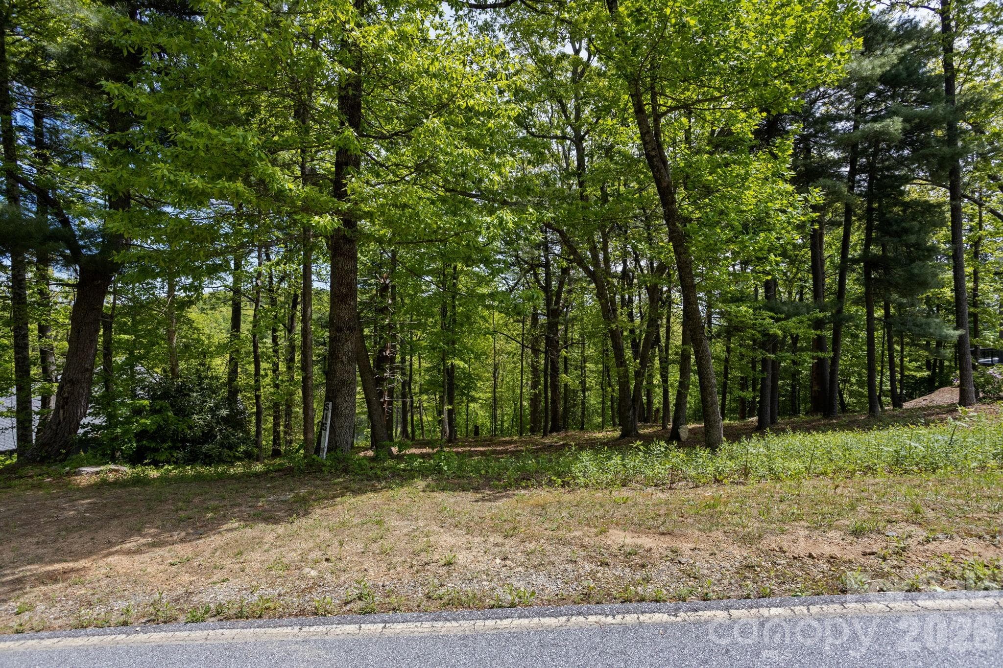 Lot at 000 Hollybrook Drive, Flat Rock, photo 4 of 22
