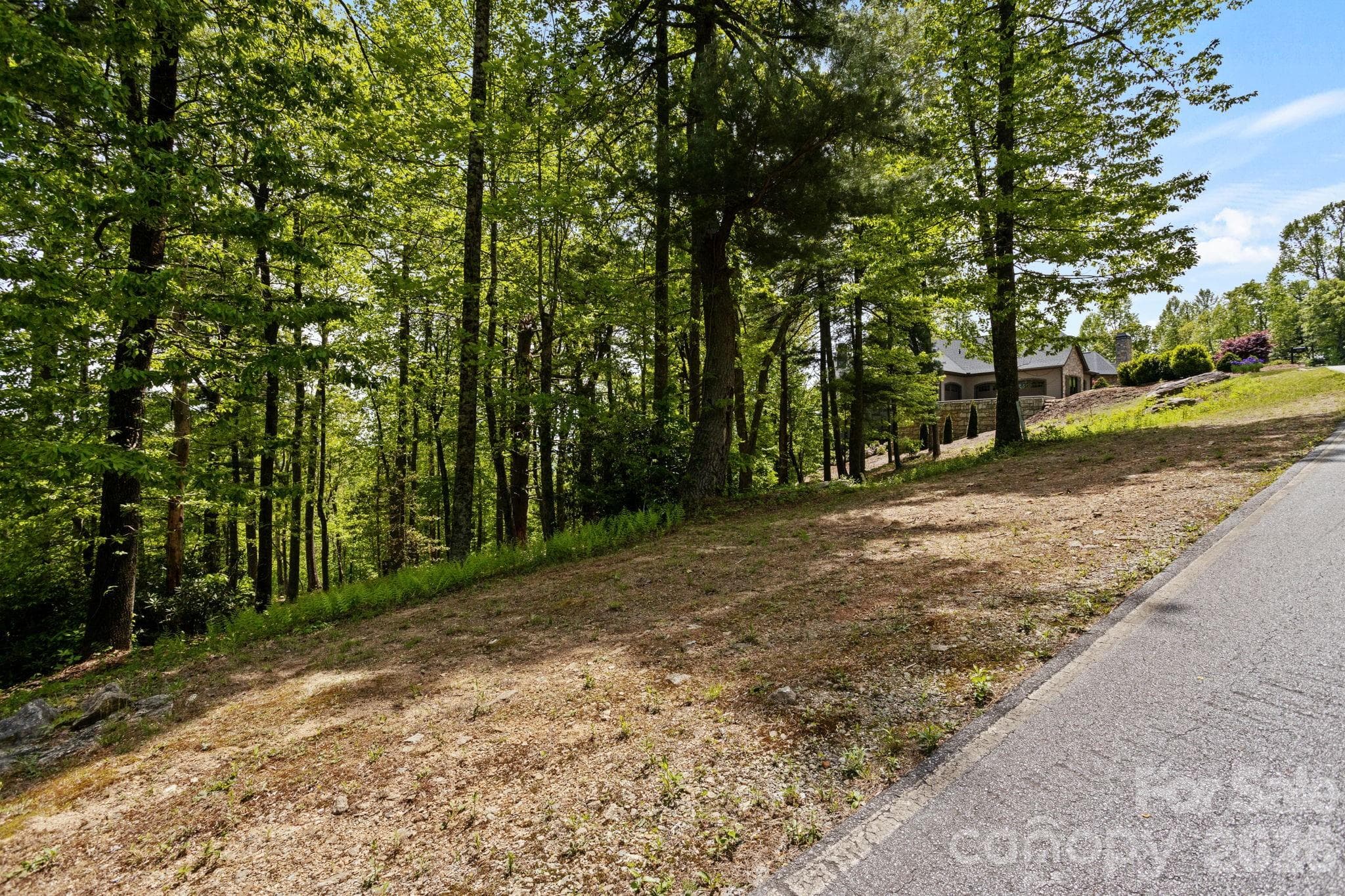 Lot at 000 Hollybrook Drive, Flat Rock, photo 5 of 22