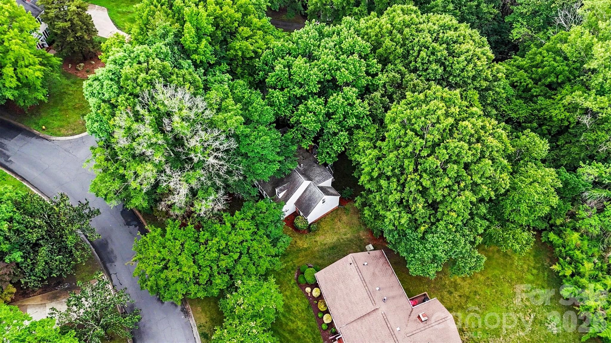 Single Family Residence at 8644 Kirchenbaum Drive, Charlotte, photo 37 of 41