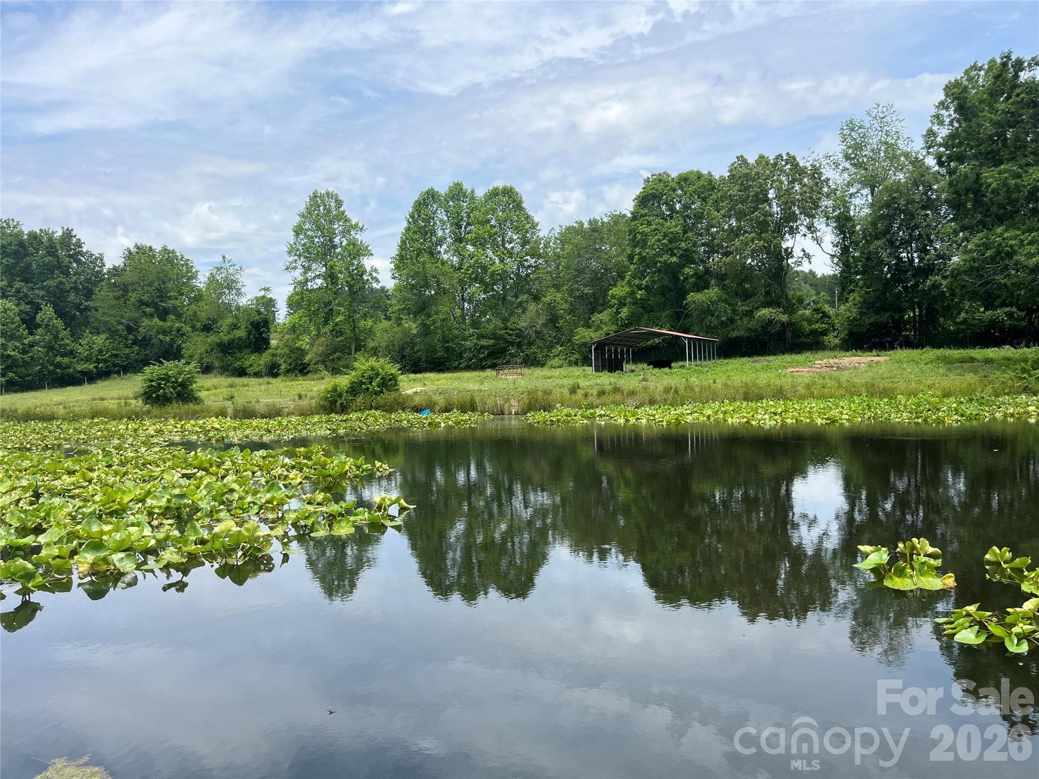 Island in pond for geese safety. - 99999 Jones Road, Fletcher