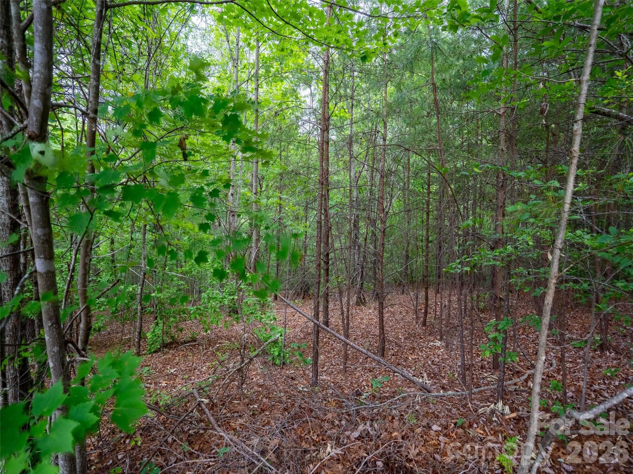 Lot at Mill Spring, photo 2 of 17