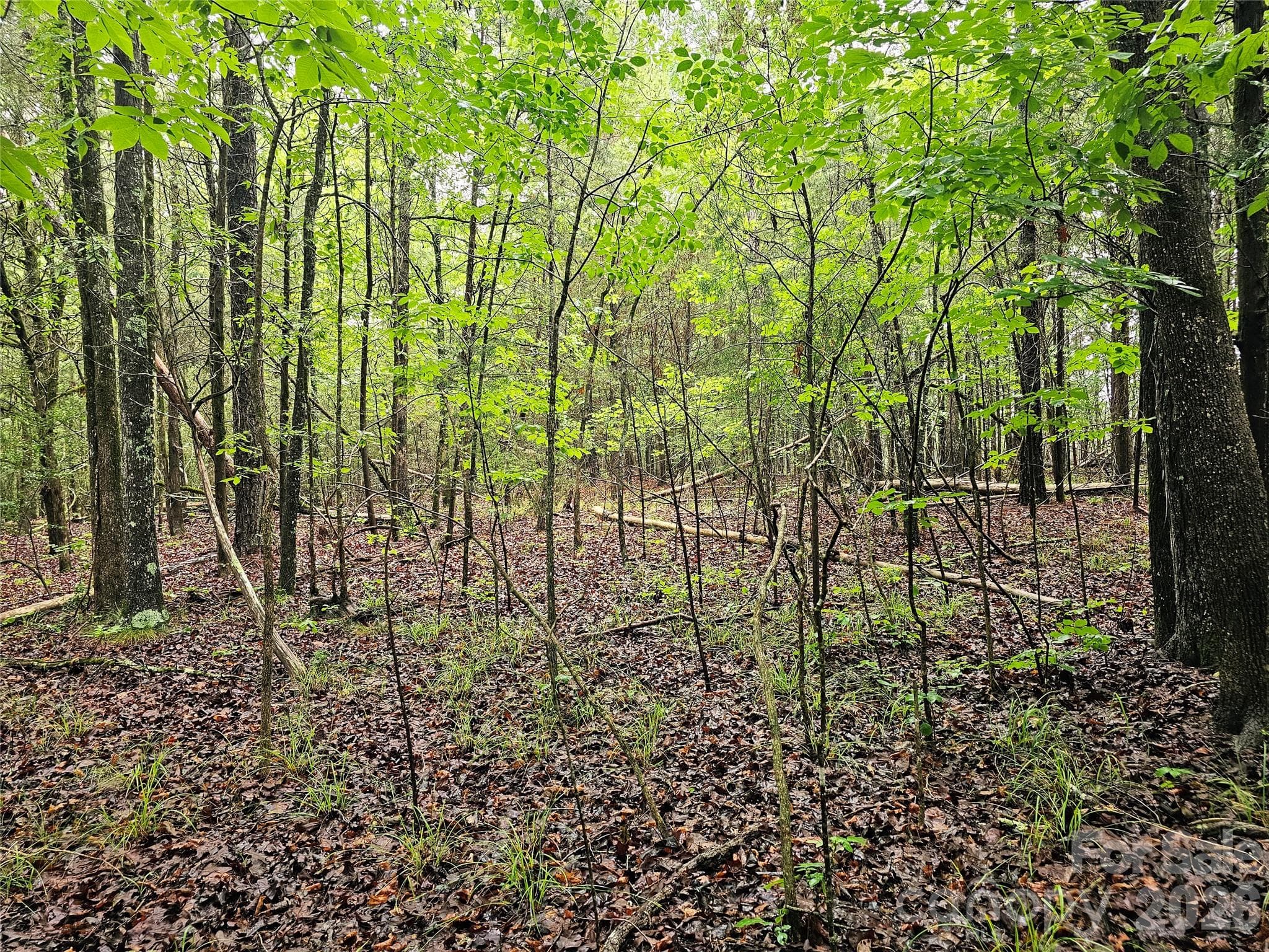 Acreage at 0000 Shirley Road, Fort Lawn, photo 2 of 6