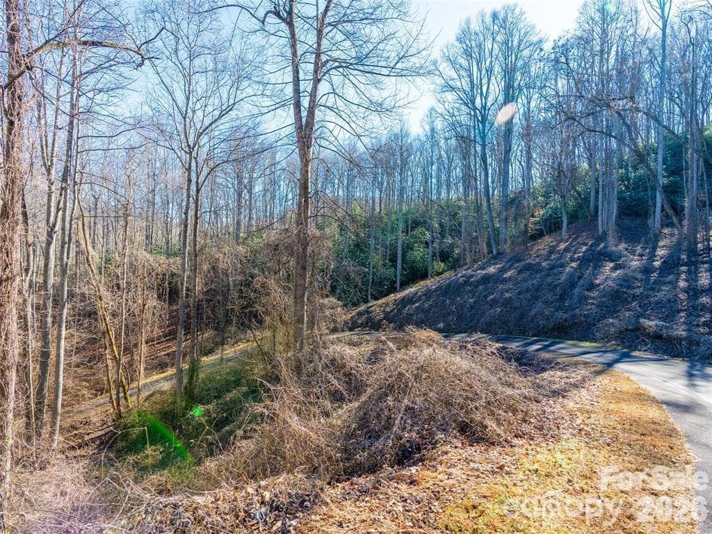 Lot at 19 & 20 Marcus Ridge Drive, Fairview, photo 7 of 15