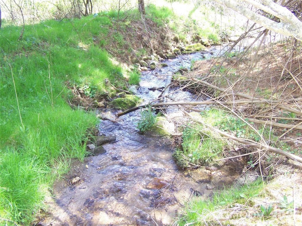 Acreage at Waynesville, photo 2 of 7