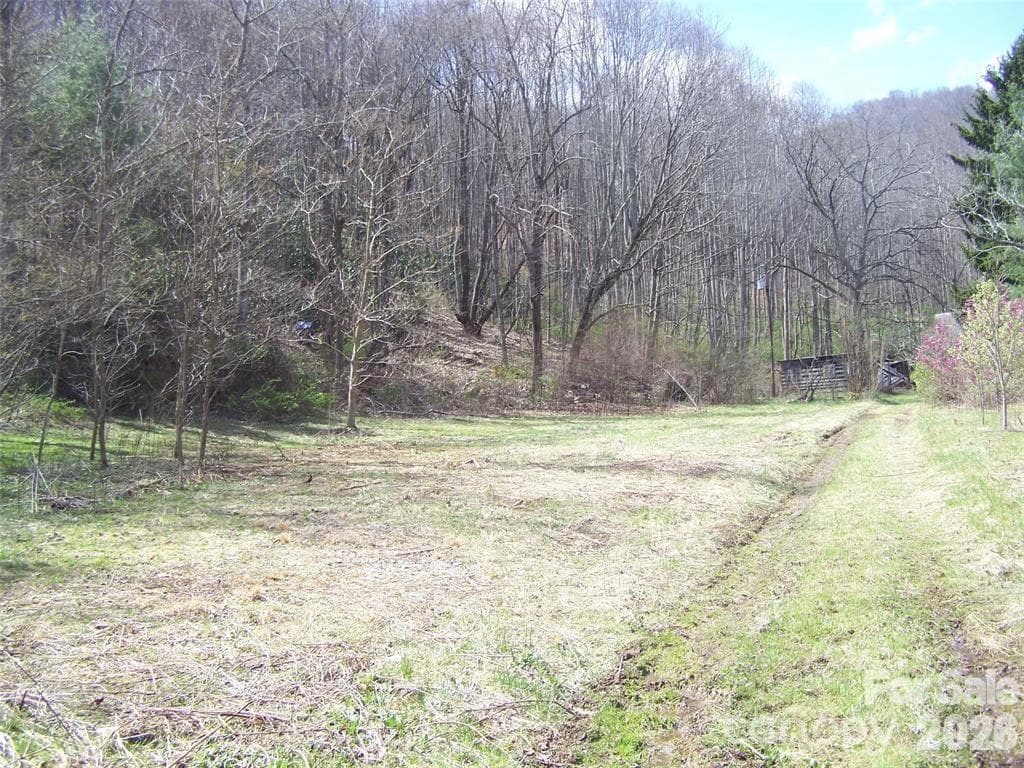 Acreage at Waynesville, photo 3 of 7