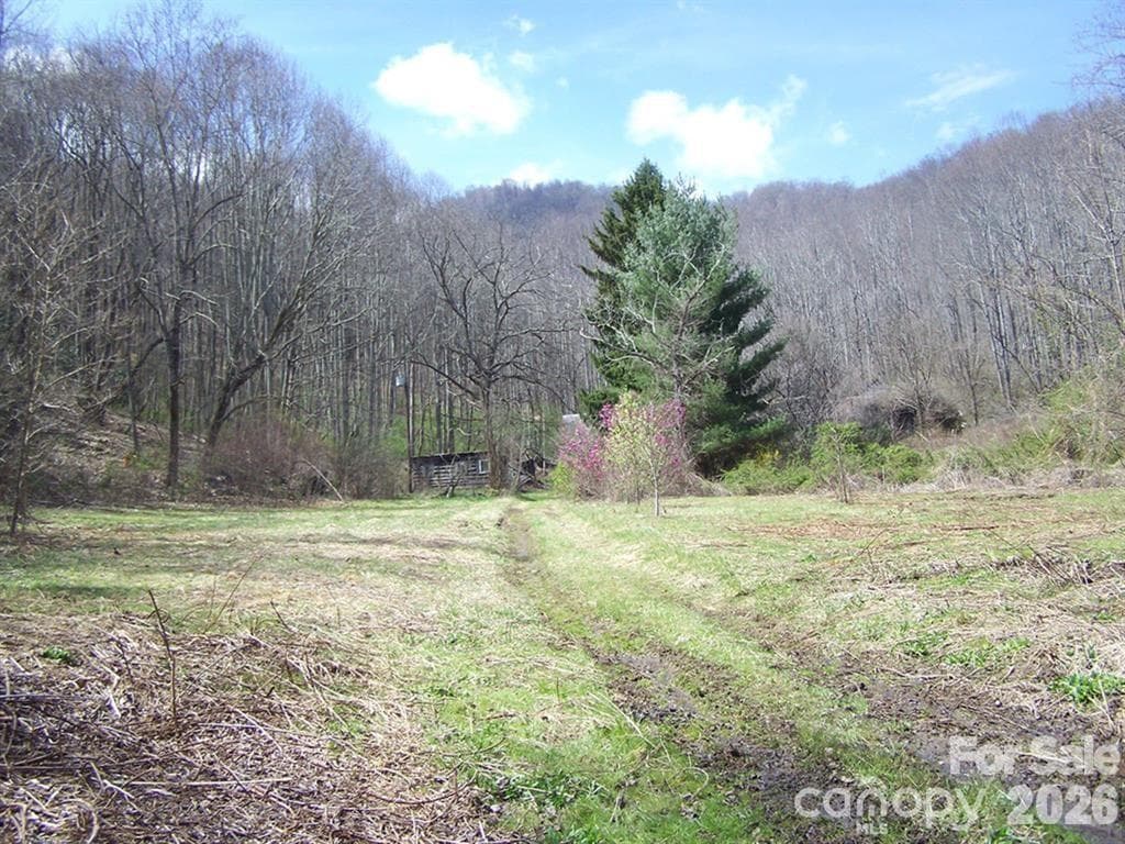 Acreage at Waynesville, photo 4 of 7