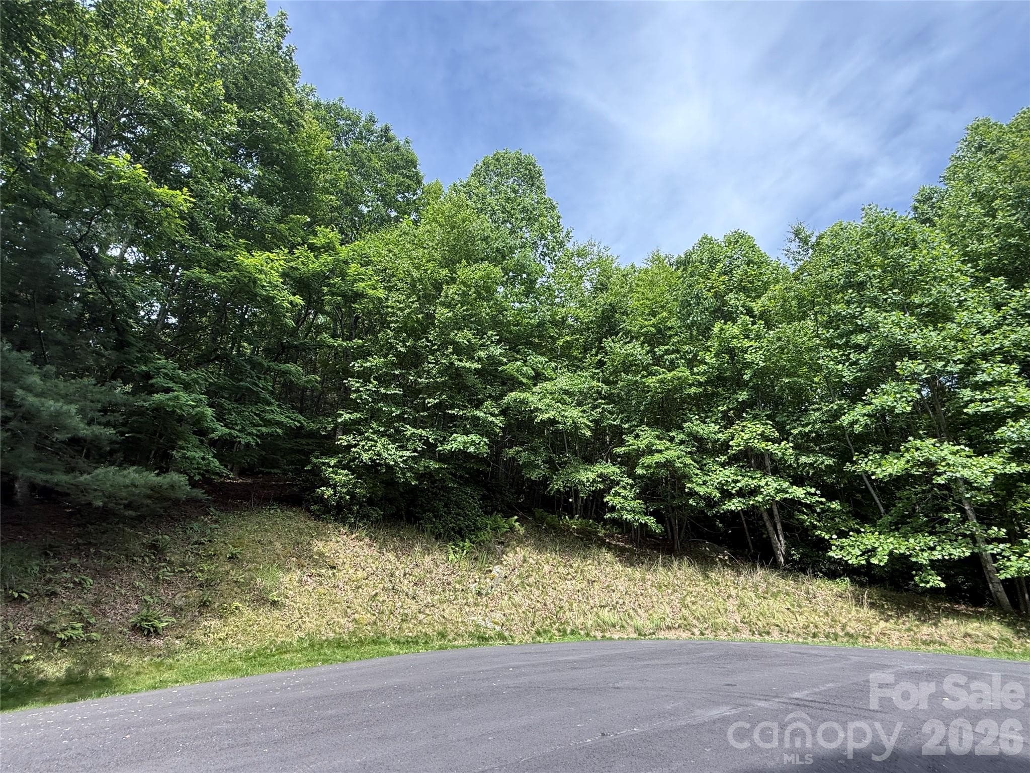 Lot at Hendersonville, photo 7 of 29