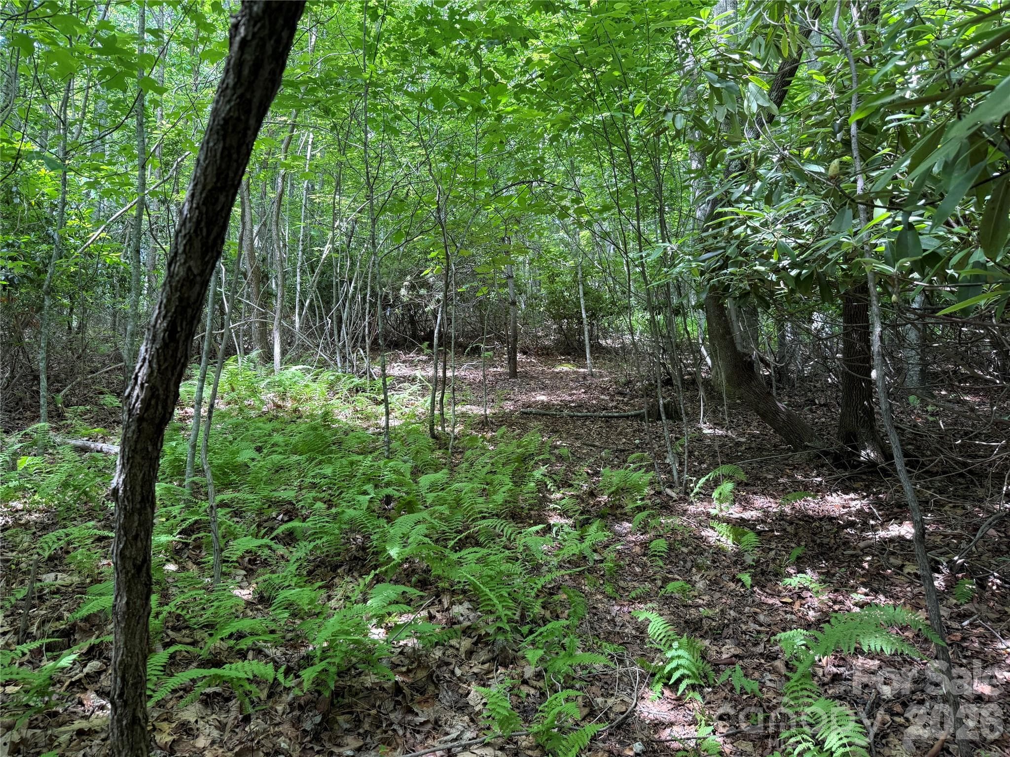 Lot at Hendersonville, photo 12 of 29