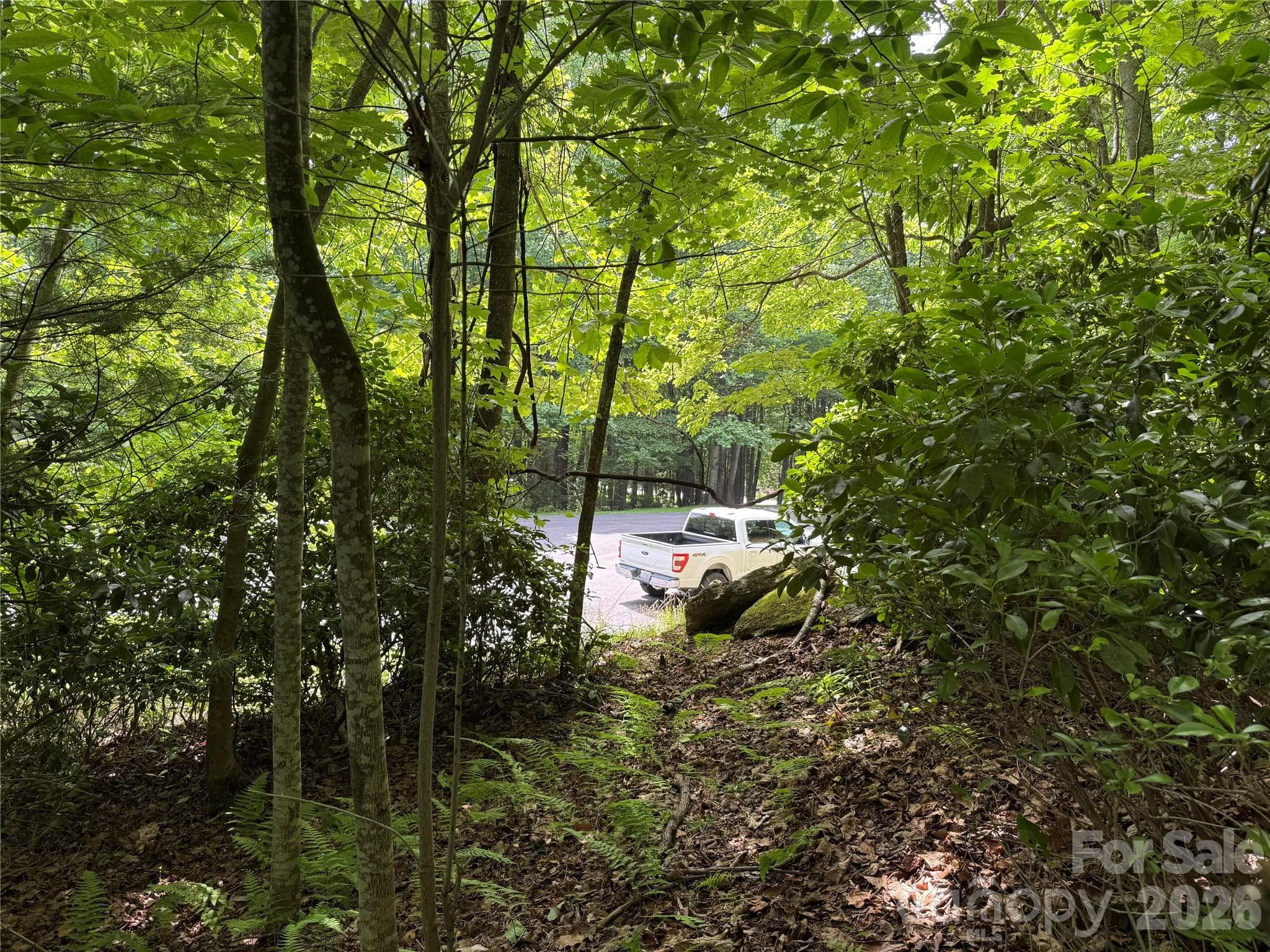 Lot at Hendersonville, photo 13 of 29