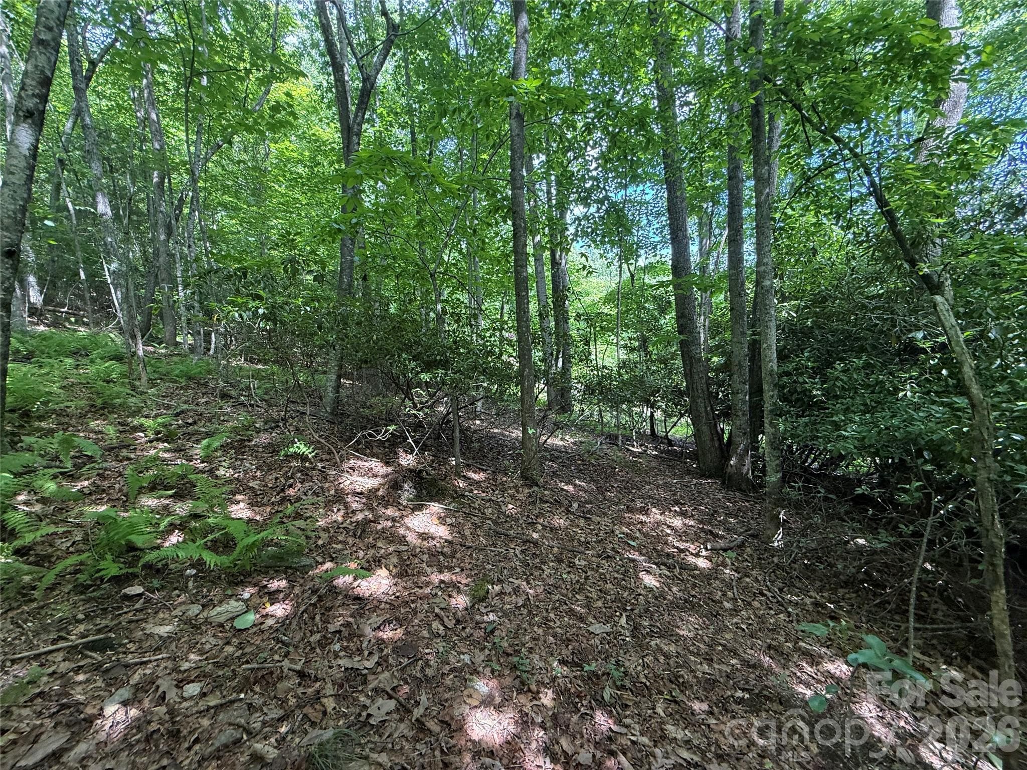 Lot at Hendersonville, photo 16 of 29