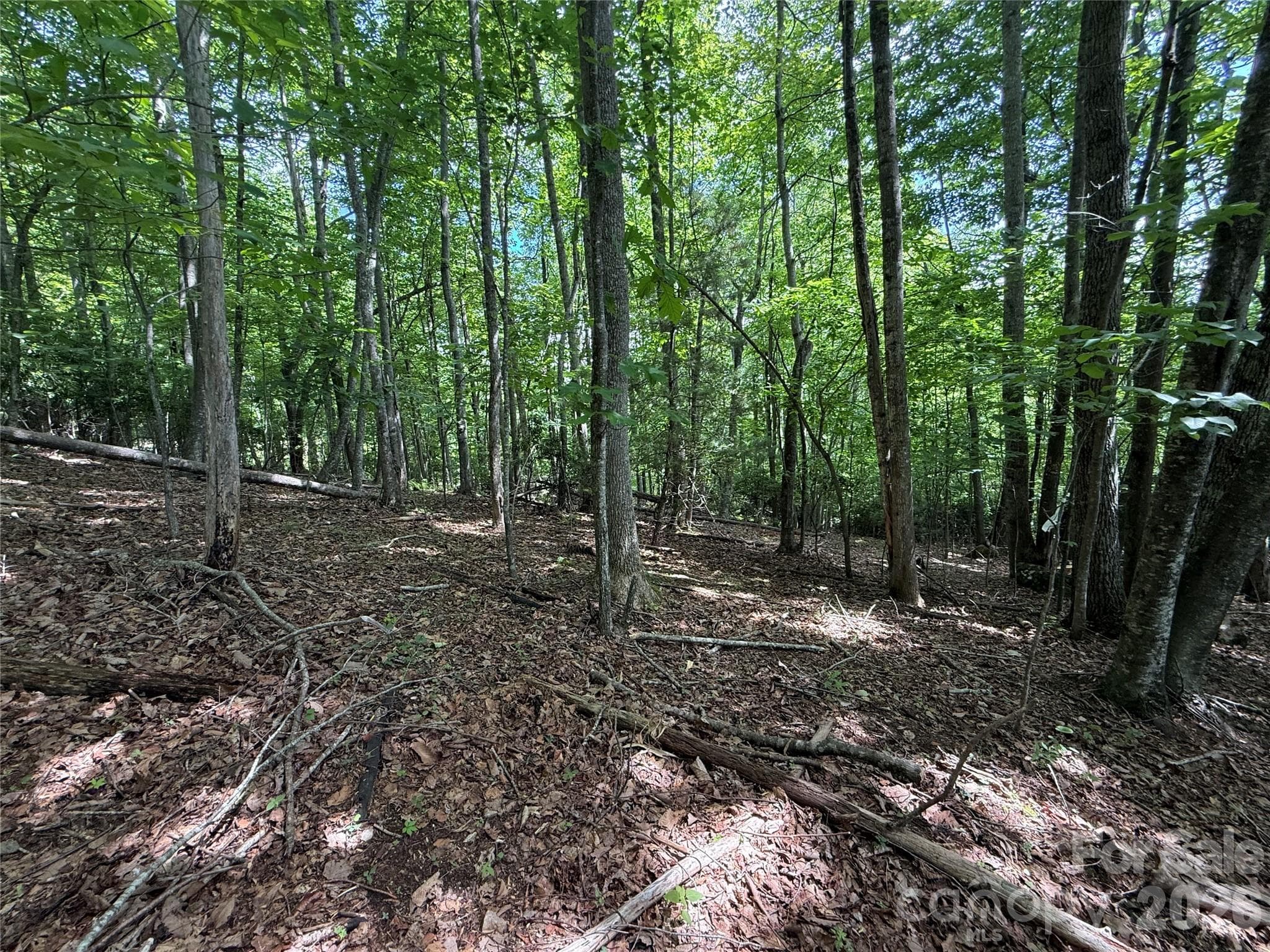 Lot at Hendersonville, photo 22 of 29