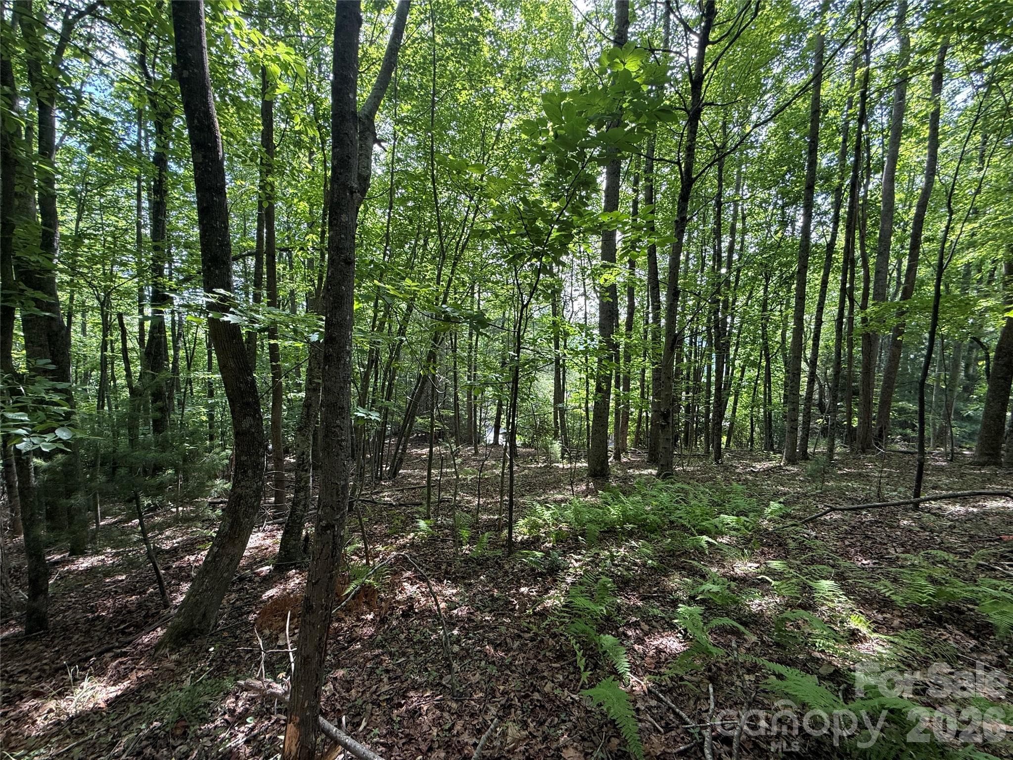 Lot at Hendersonville, photo 25 of 29