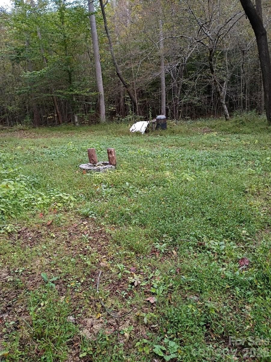 Acreage at 3024 Camp Creek Road, Union Mills, photo 3 of 10