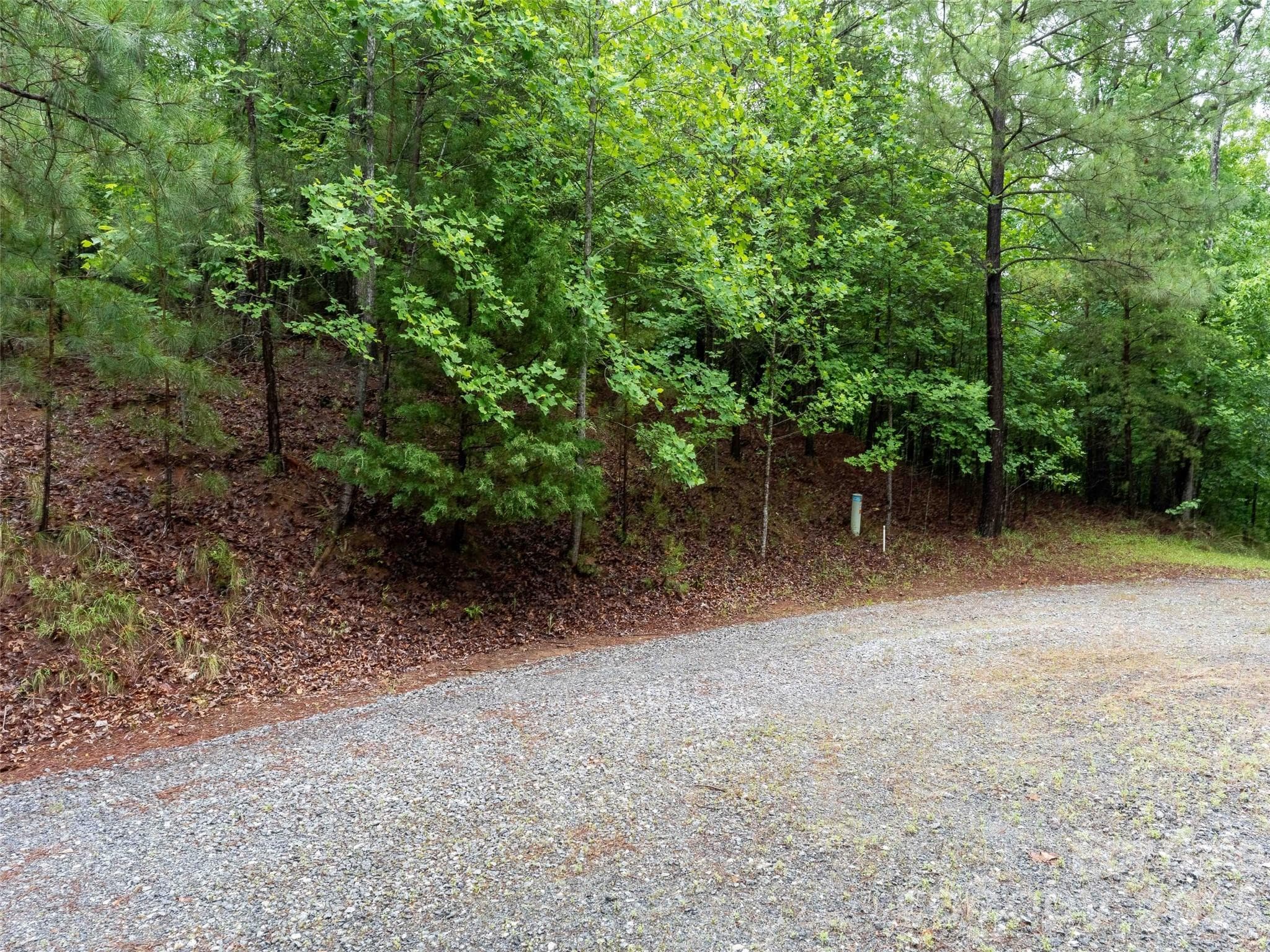 Lot at Rutherfordton, photo 6 of 26