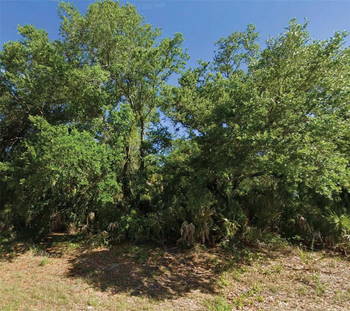MATTOX CIR