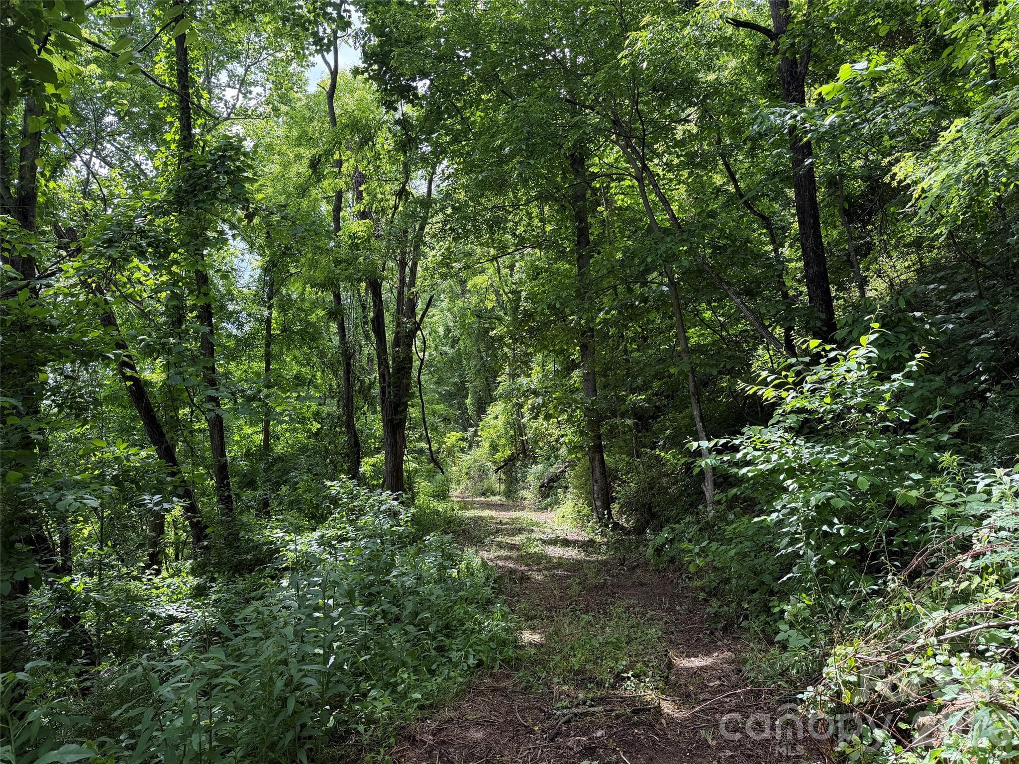 Lot at Waynesville, photo 3 of 9
