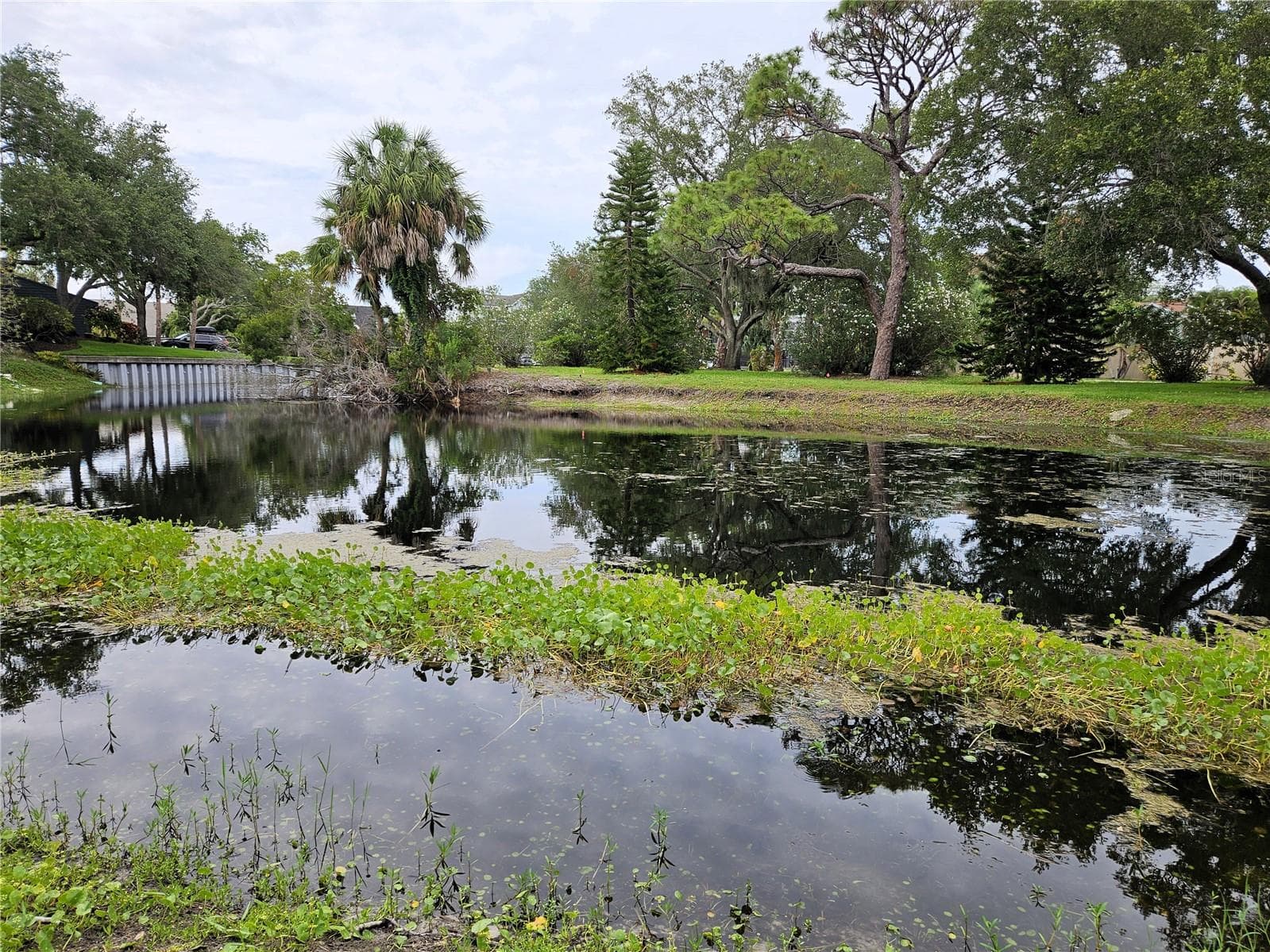View of the pond - 1800 MARINER DR #9, TARPON SPRINGS