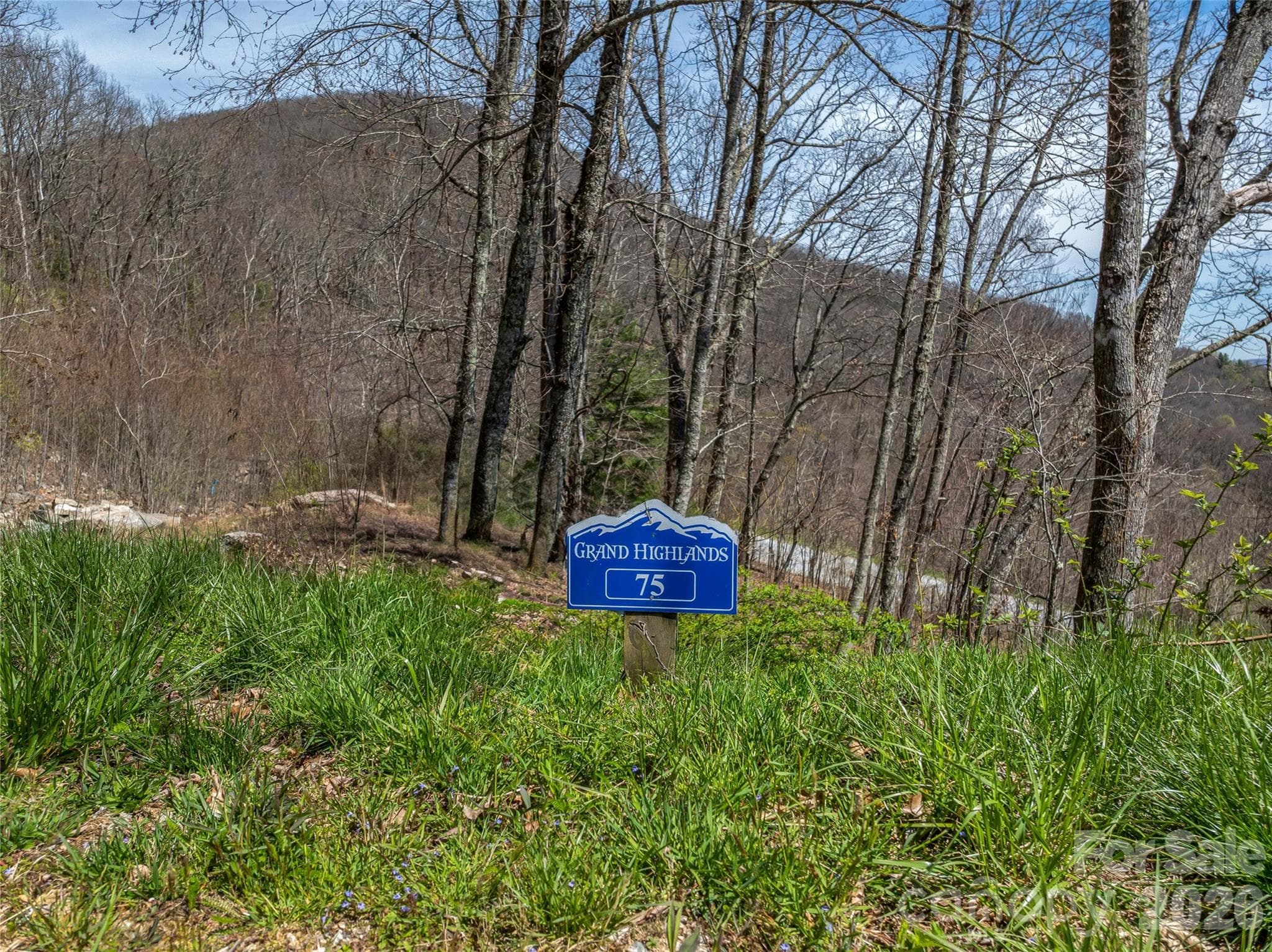 Lot at Hendersonville, photo 2 of 27