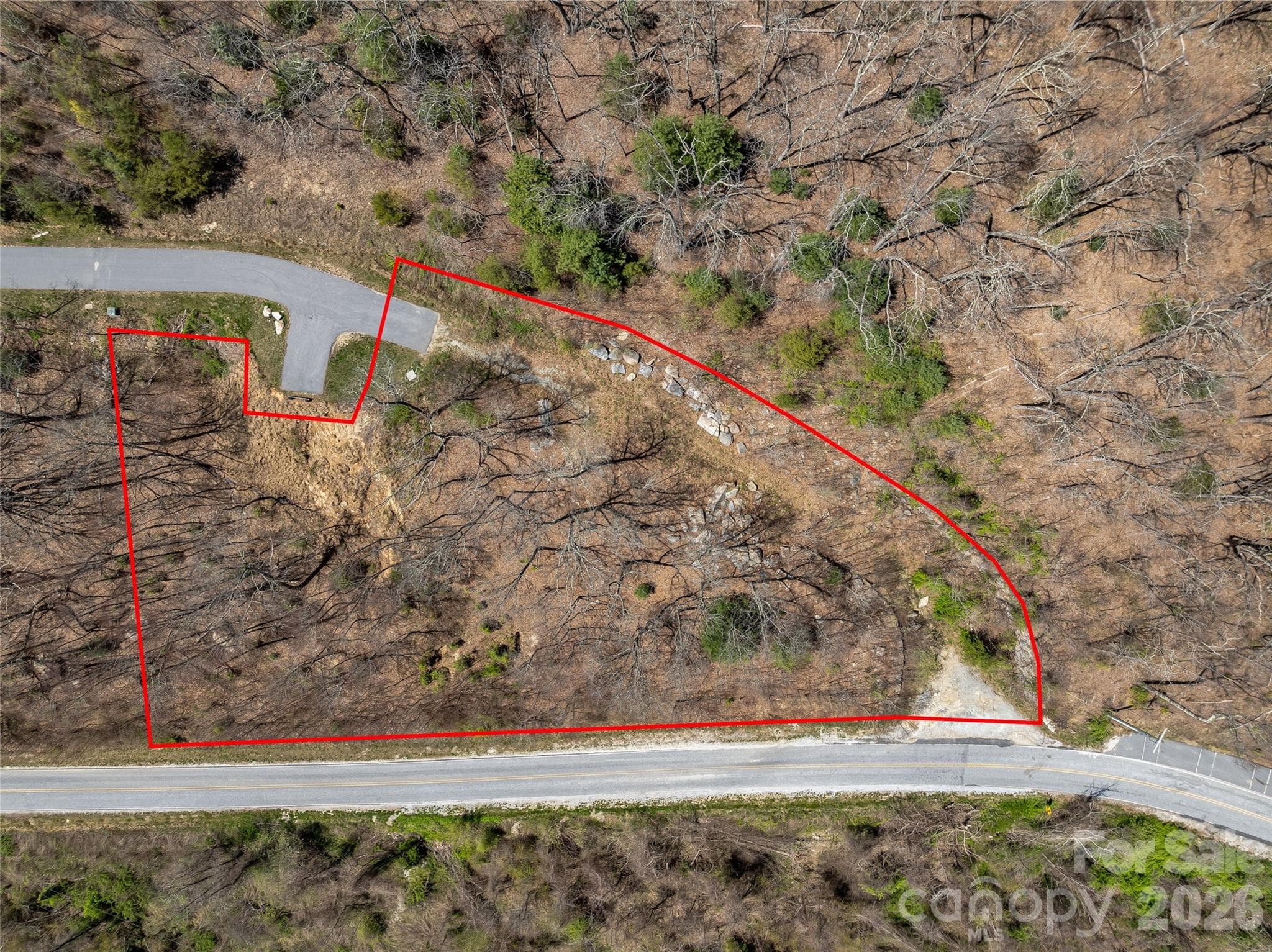 Lot at Hendersonville, photo 4 of 27