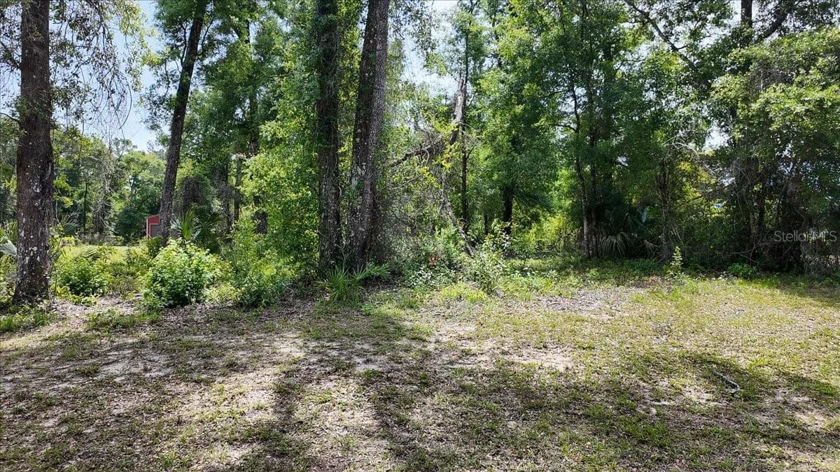 Land at KATHERINE WAY, FANNING SPRINGS, photo 4 of 30