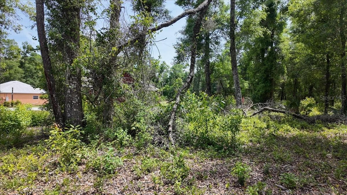 Land at KATHERINE WAY, FANNING SPRINGS, photo 7 of 30