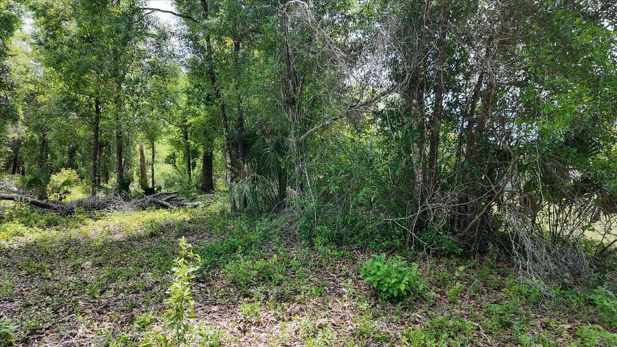 Land at KATHERINE WAY, FANNING SPRINGS, photo 8 of 30