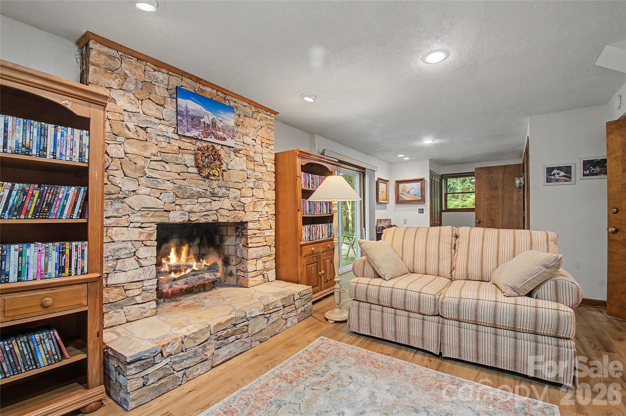 Lower Level Family Room - Horse Shoe