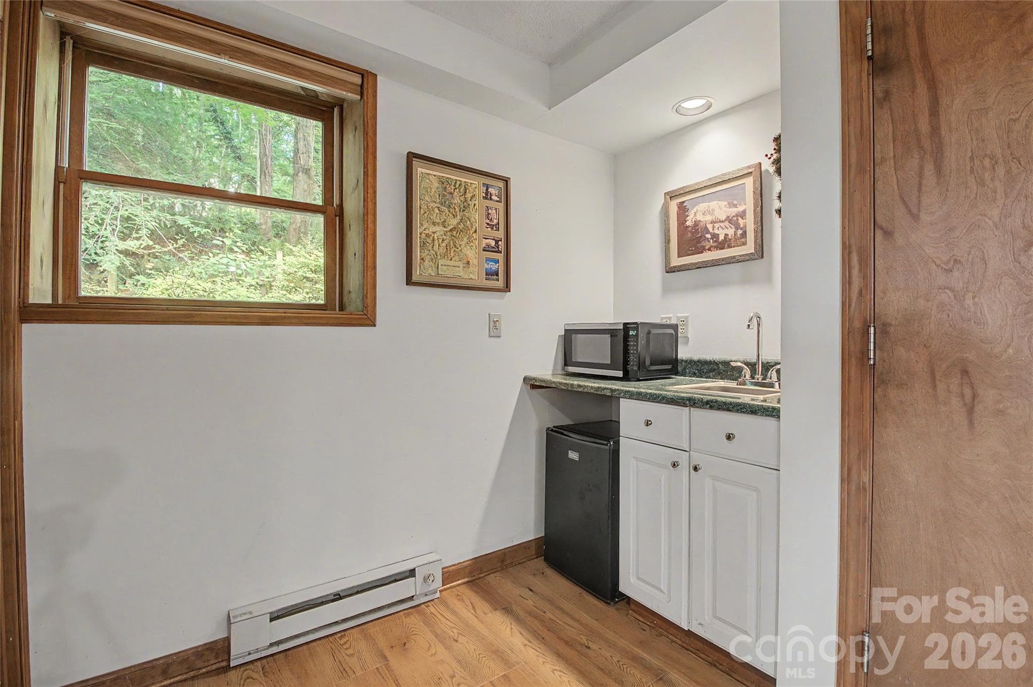 Wet Bar area Lower Level - Horse Shoe
