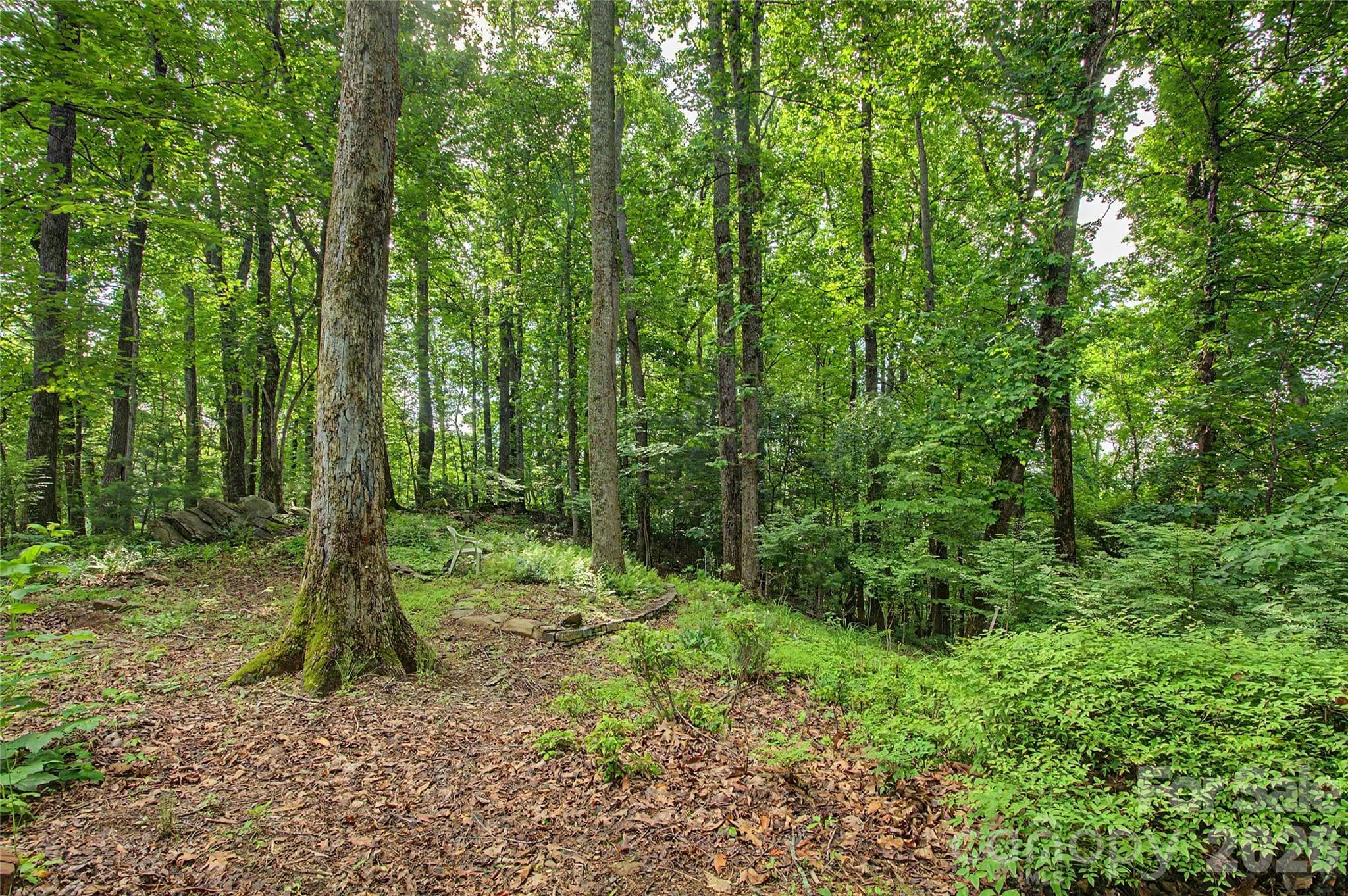Additional .96 Ac Adjoining Lot. - Horse Shoe