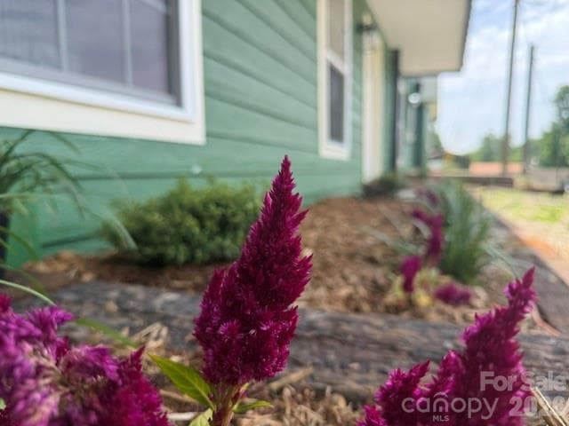 Landscaping in front of the apartment - 68 Circle Drive, Marion