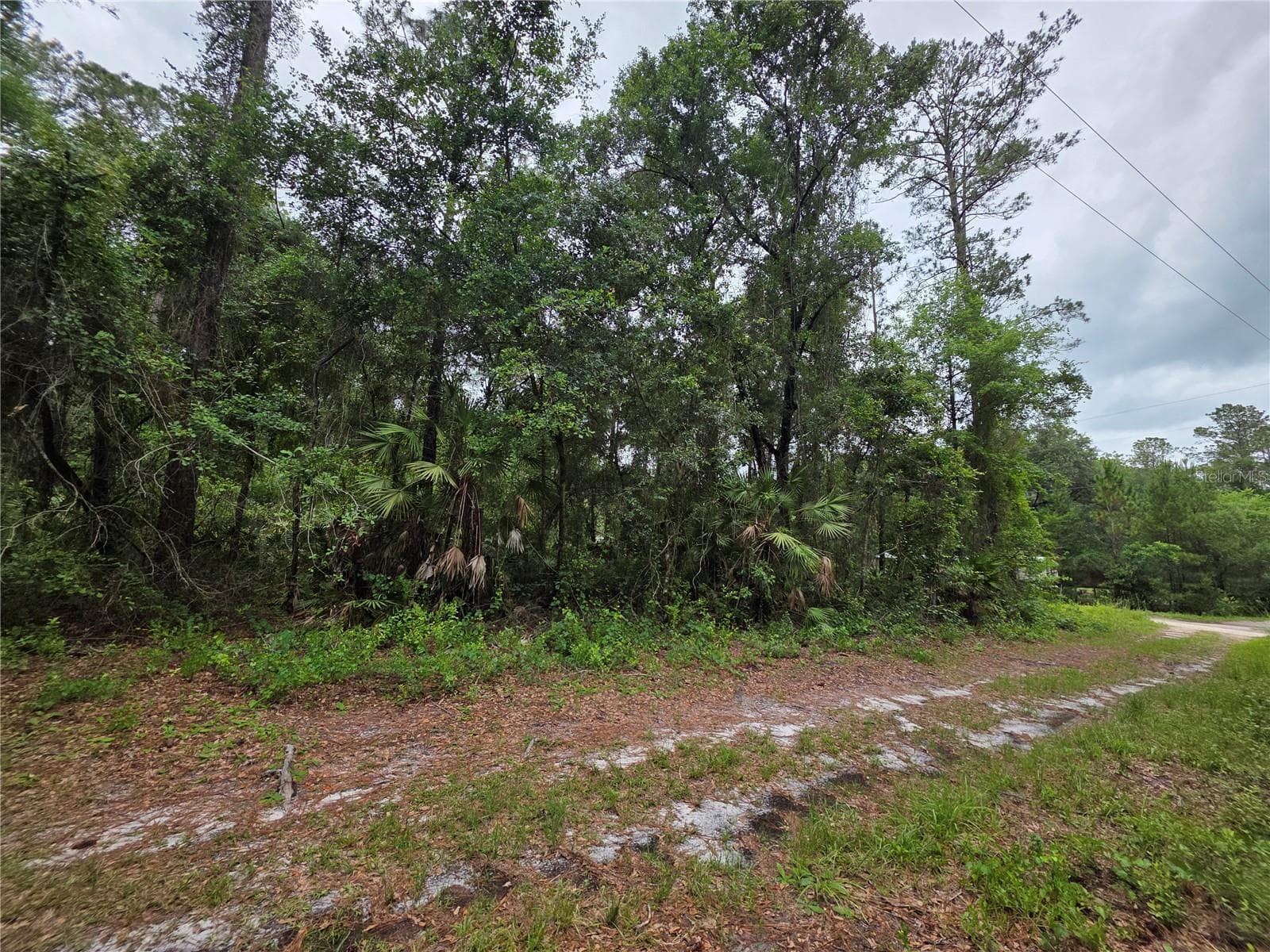 Land at 00 NE 66TH CT, CITRA, photo 5 of 8