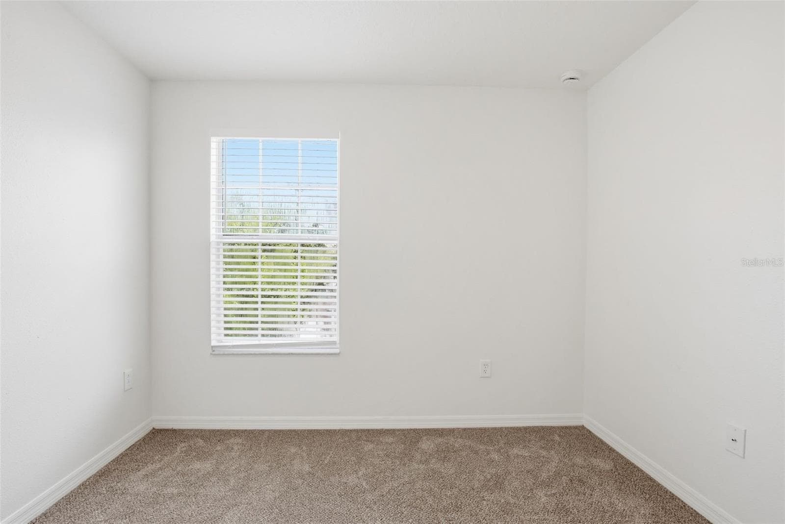 Single Family Residence at 20506 CAROLINA CHERRY CT, TAMPA, photo 24 of 45