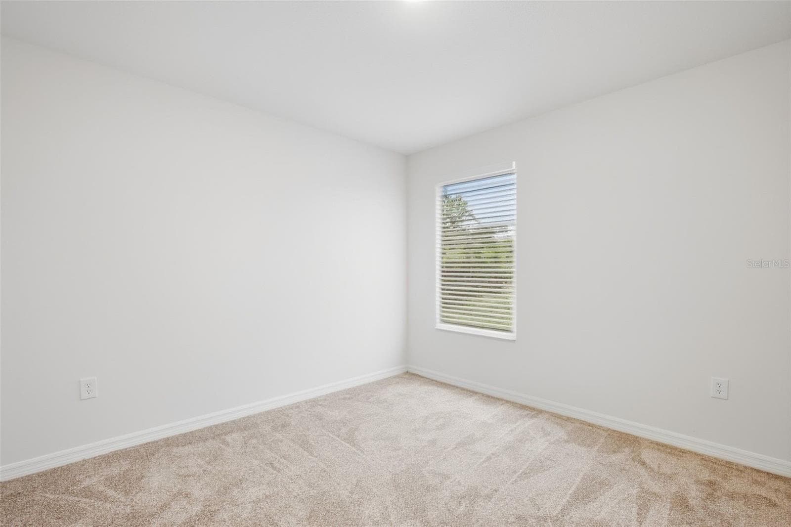 Single Family Residence at 20506 CAROLINA CHERRY CT, TAMPA, photo 29 of 45