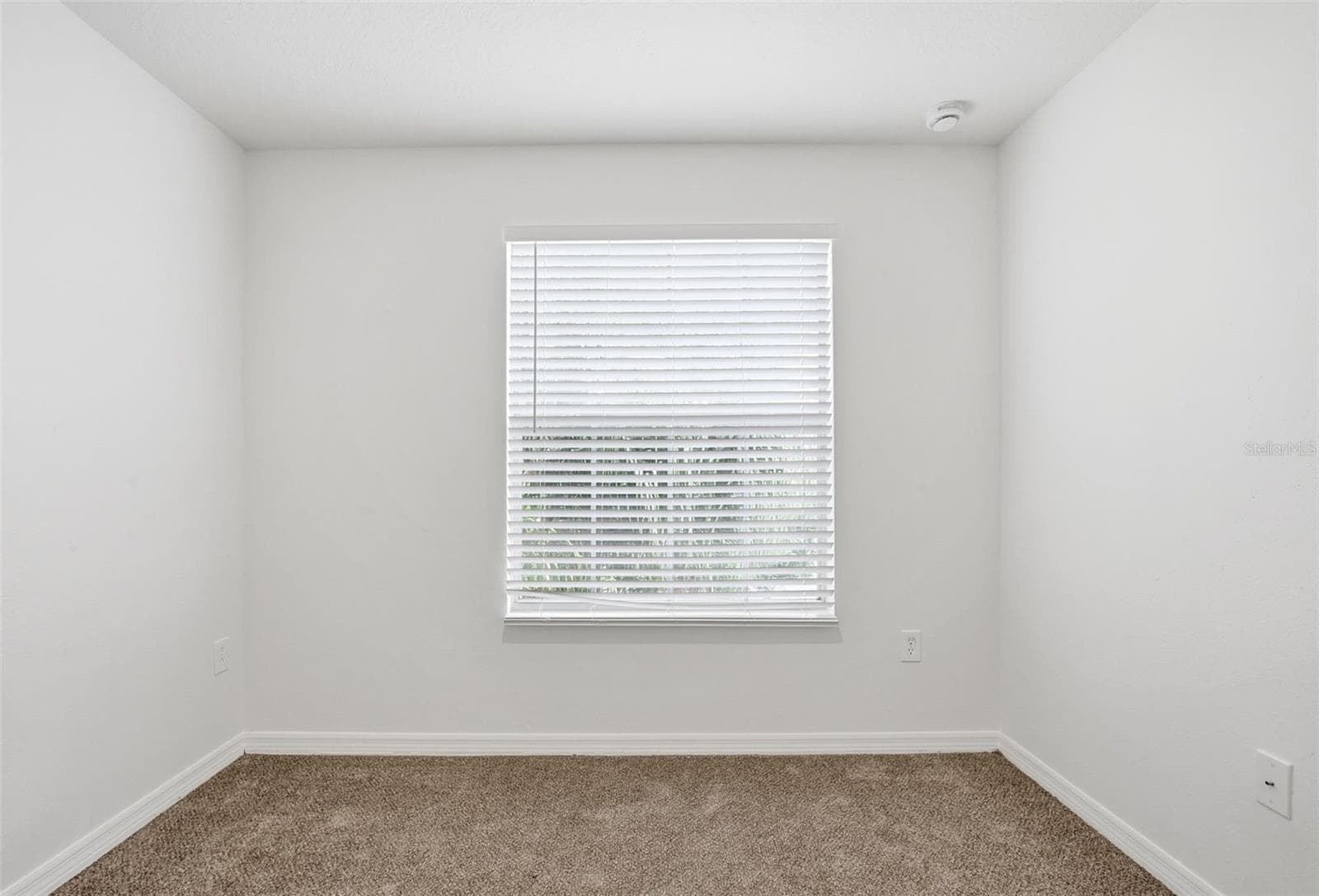 Single Family Residence at 20506 CAROLINA CHERRY CT, TAMPA, photo 36 of 45