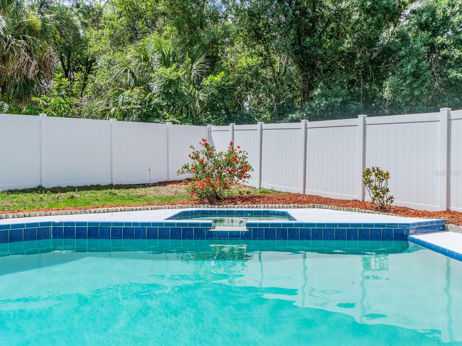 Pool & Spa - 3256 BENTLEY DR, PALM HARBOR