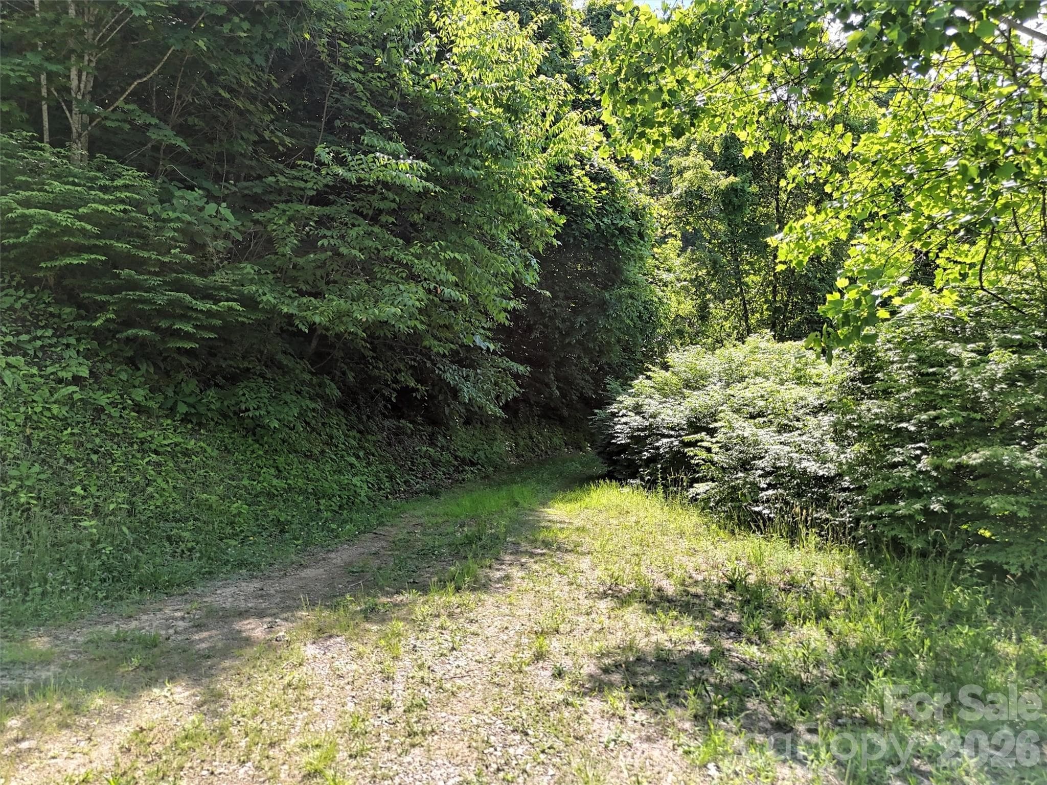 Lot at Waynesville, photo 8 of 12